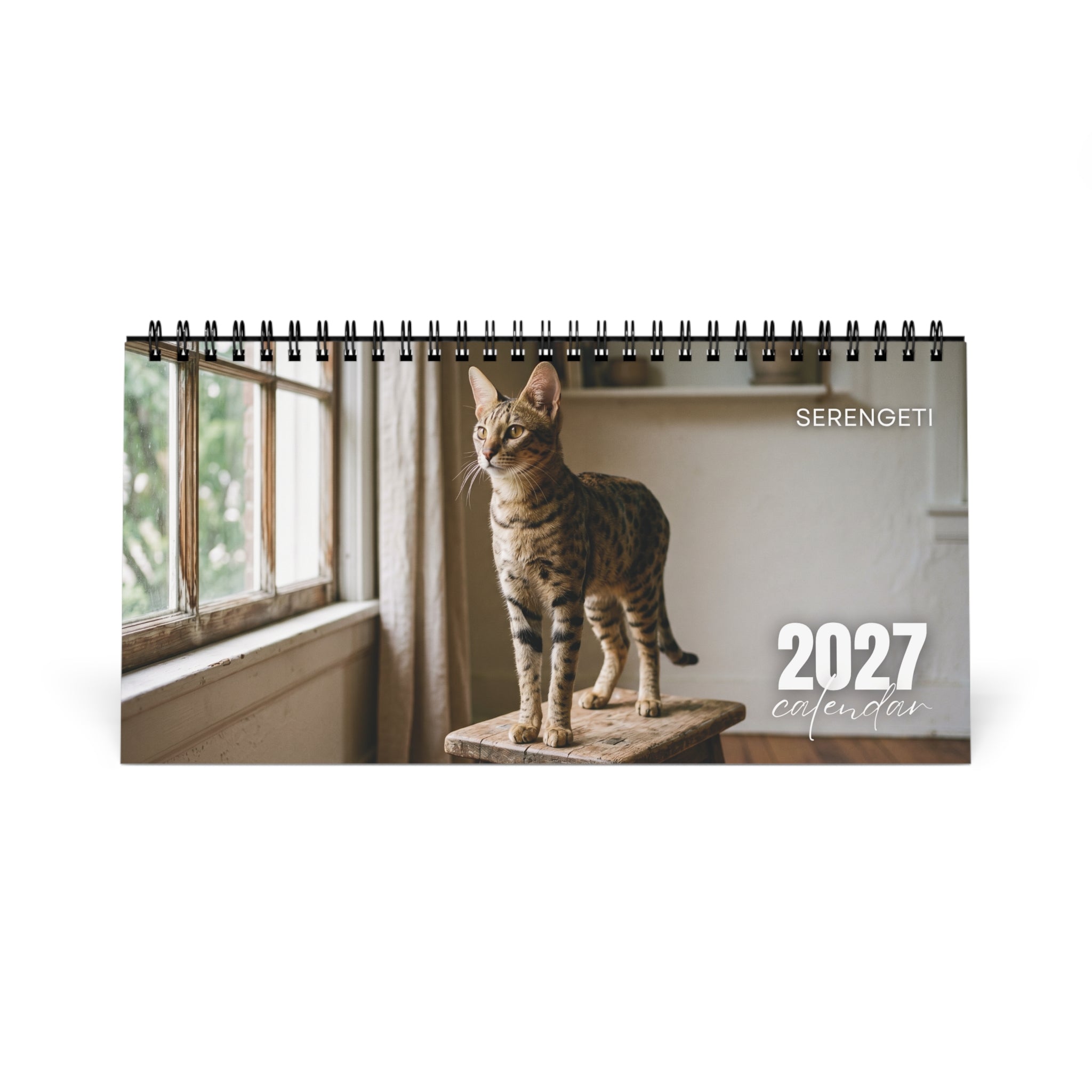 Serengeti Cat Desk Calendar 2027