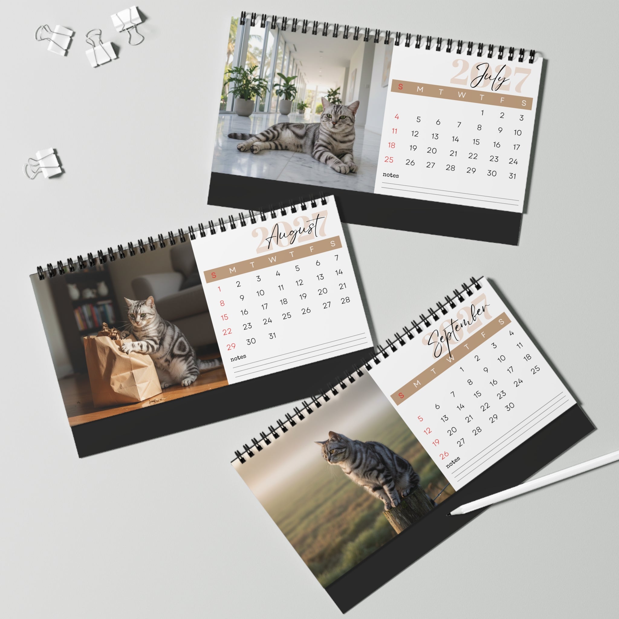 American Shorthair Cat Desk Calendar 2027