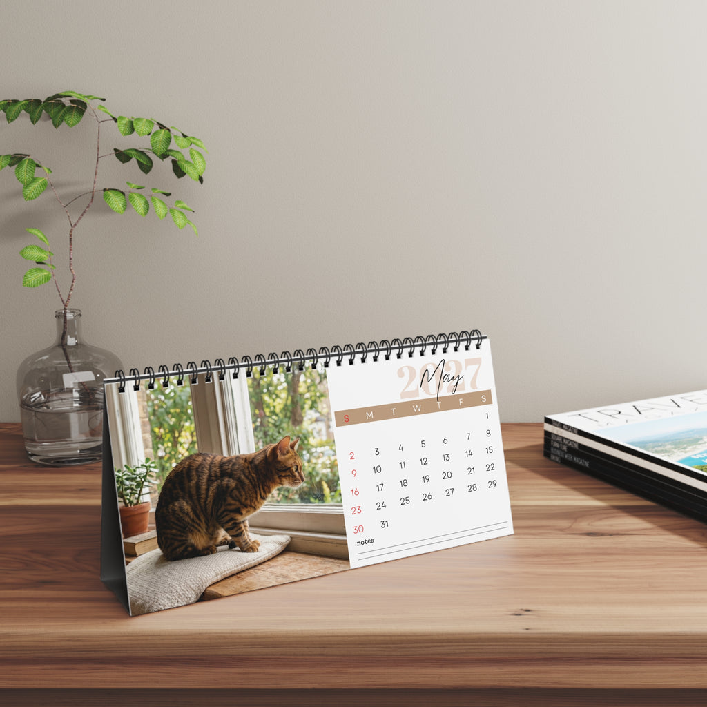 Toyger Cat Desk Calendar 2027