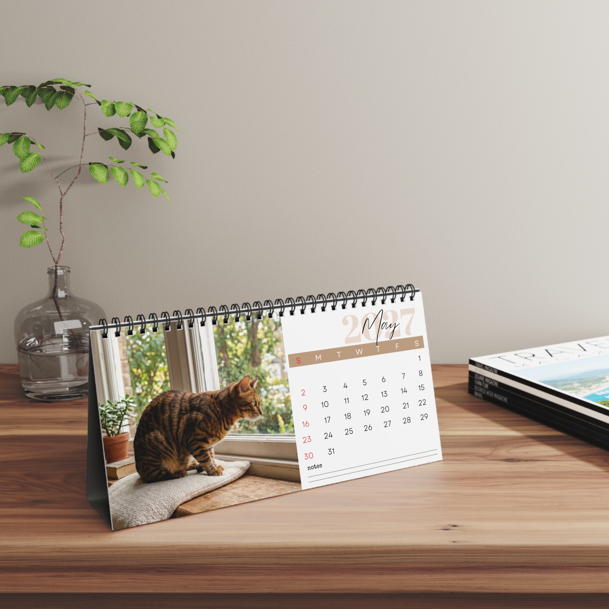 Toyger Cat Desk Calendar 2027