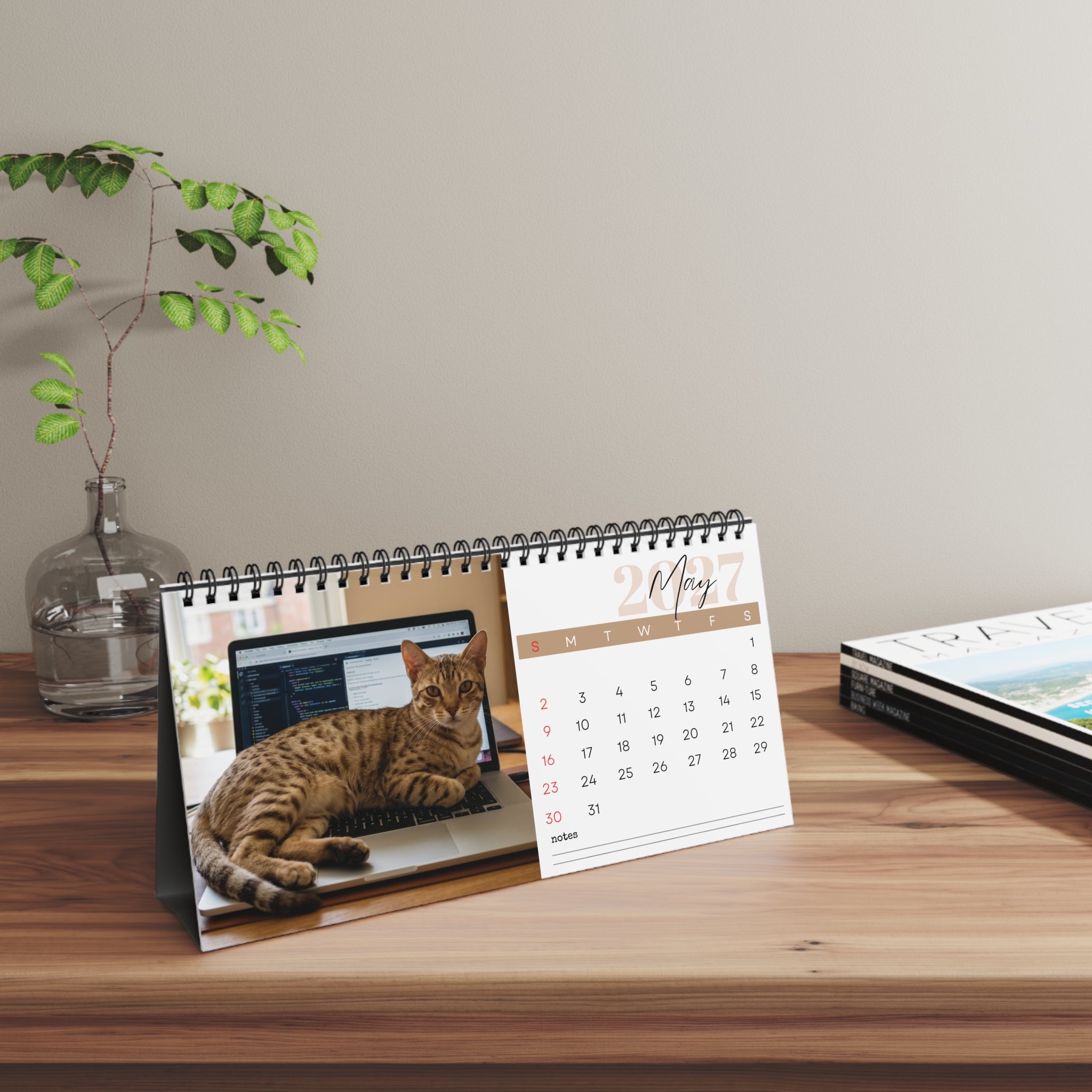 Ocicat Desk Calendar 2027
