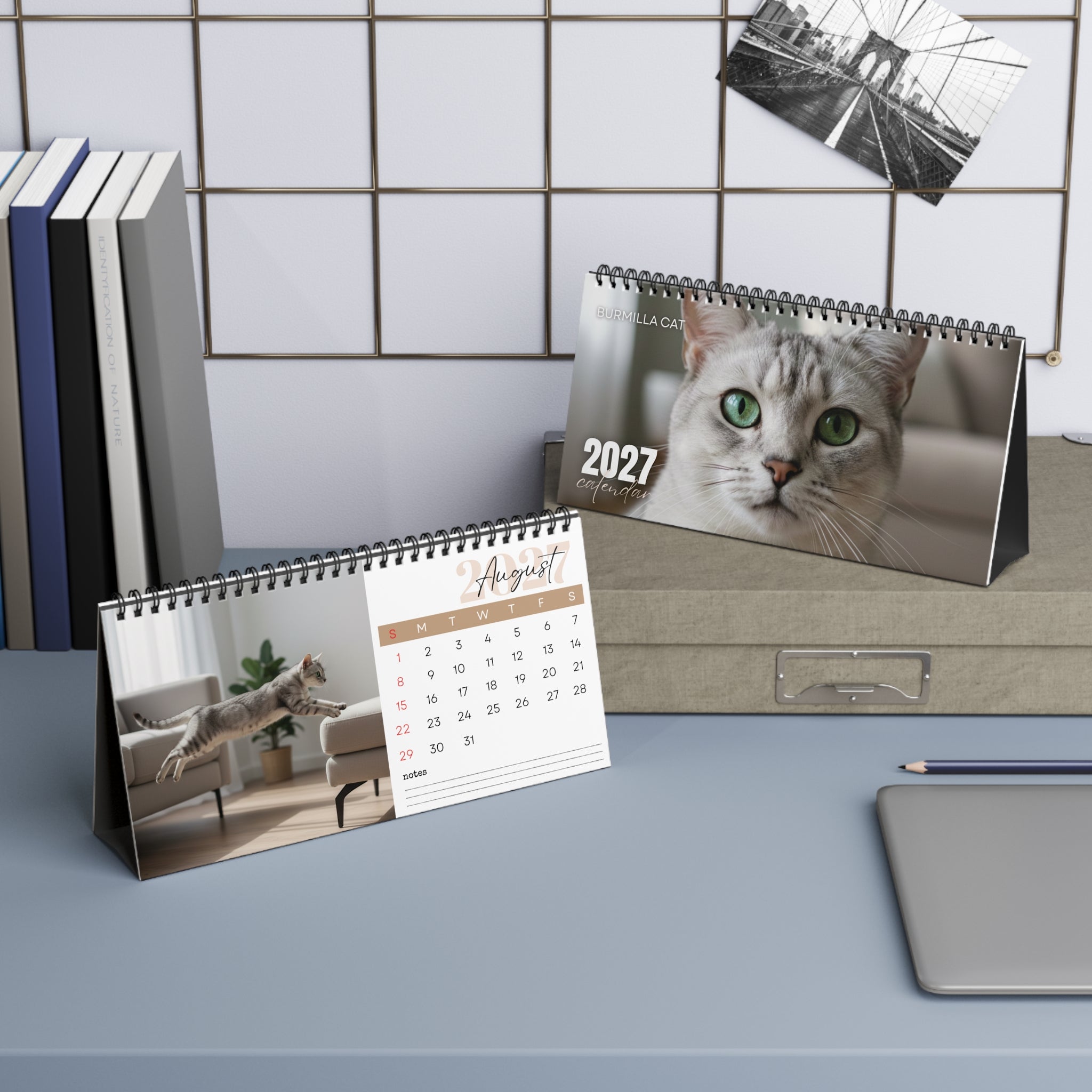 Burmilla Cat Desk Calendar 2027