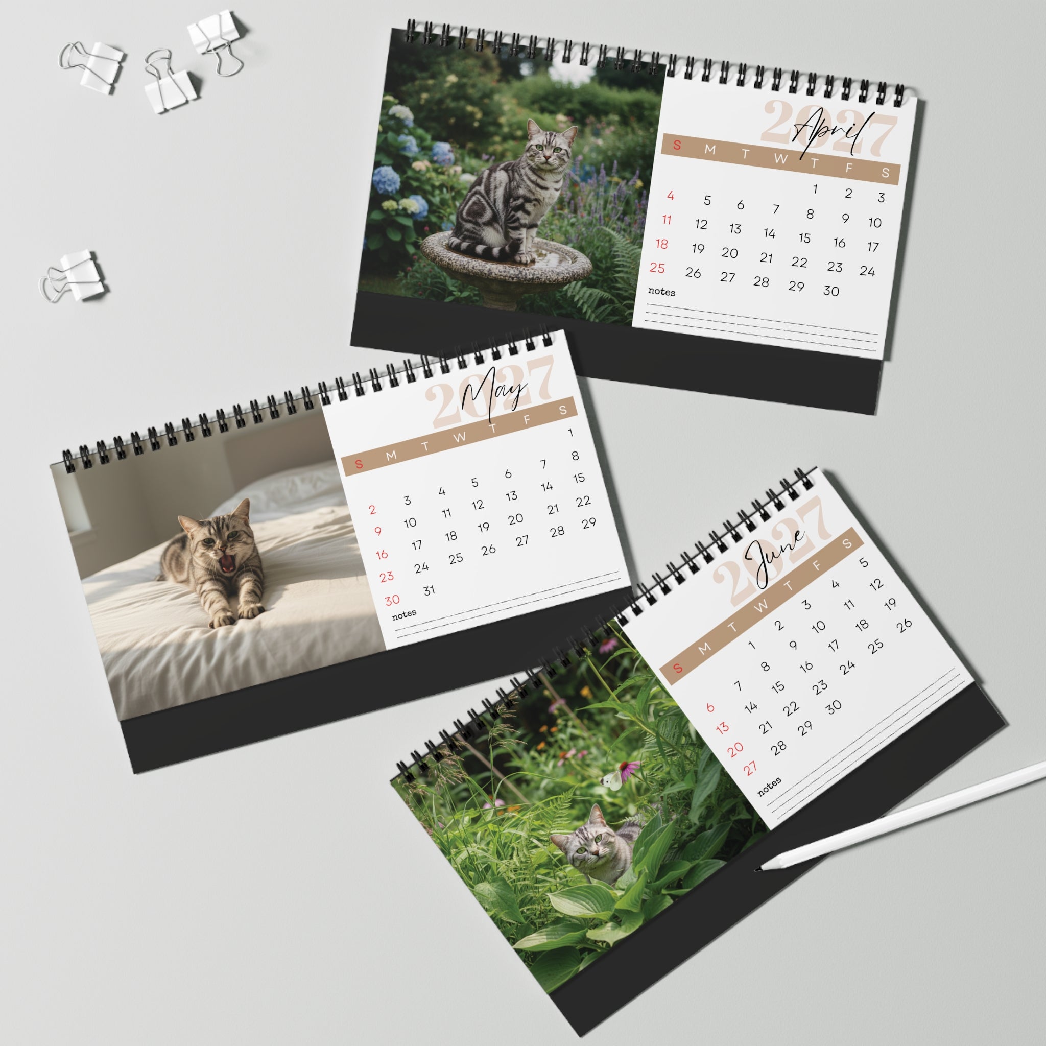 American Shorthair Cat Desk Calendar 2027