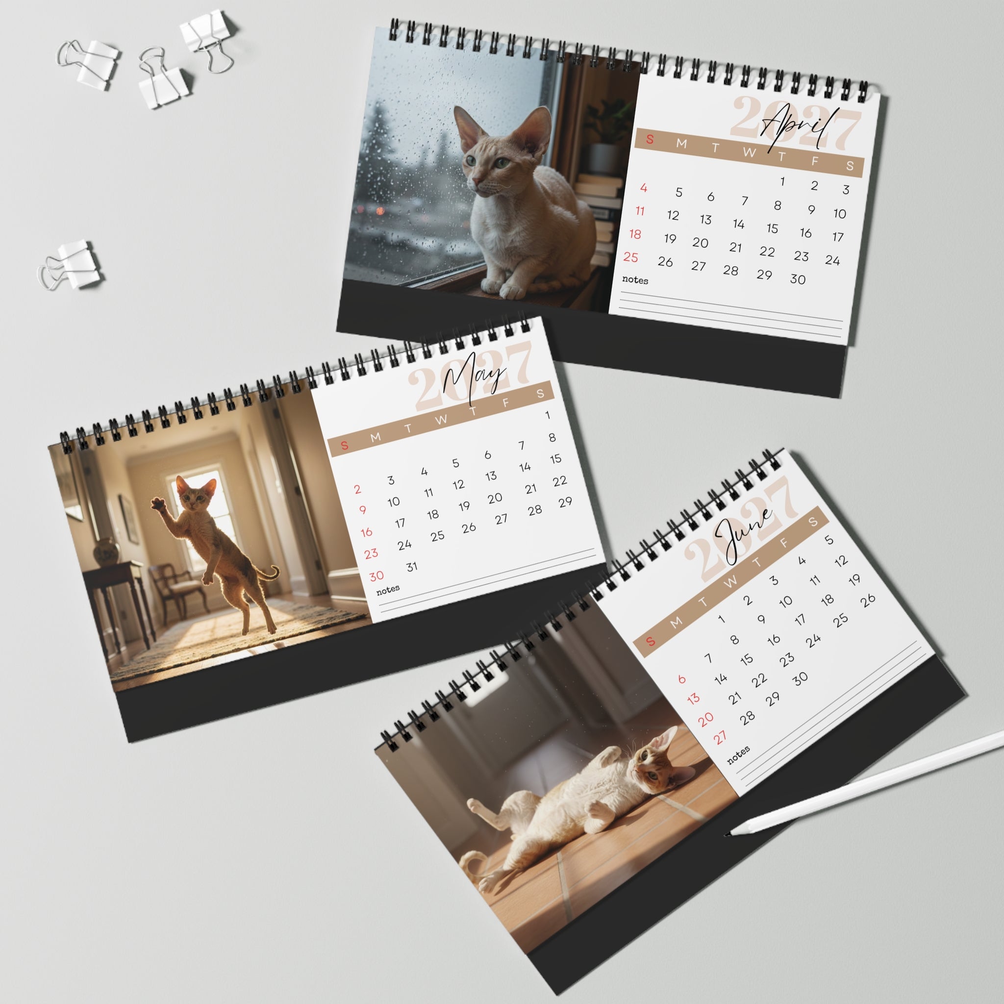Cornish Rex Desk Calendar 2027