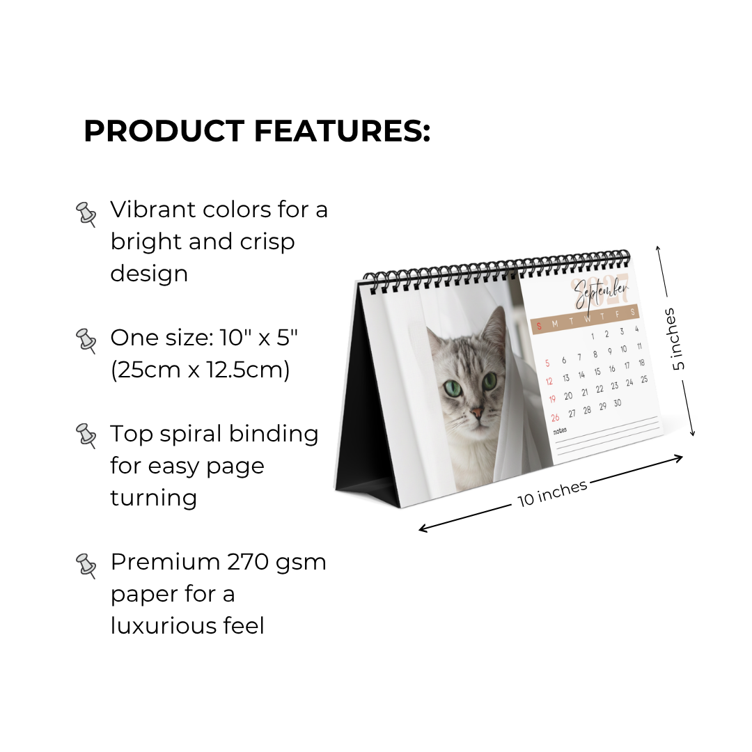 Burmilla Cat Desk Calendar 2027