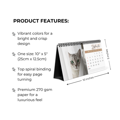 Burmilla Cat Desk Calendar 2027