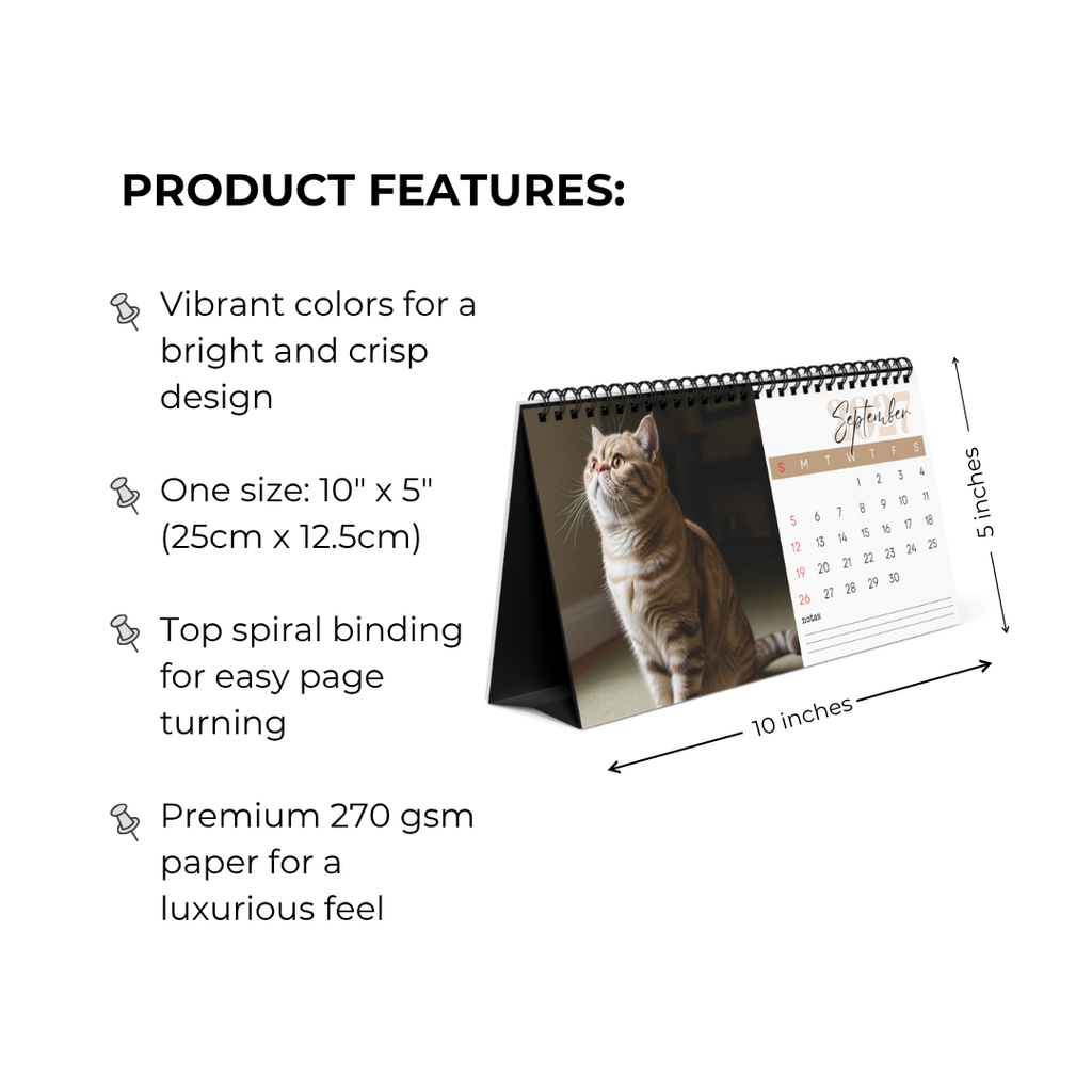 Exotic Shorthair Desk Calendar 2027