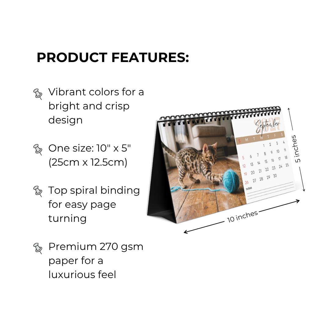 Kitten Desk Calendar 2027