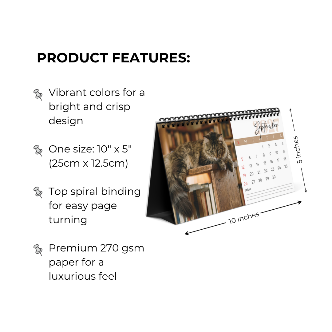 Maine Coon Cat Desk Calendar 2027