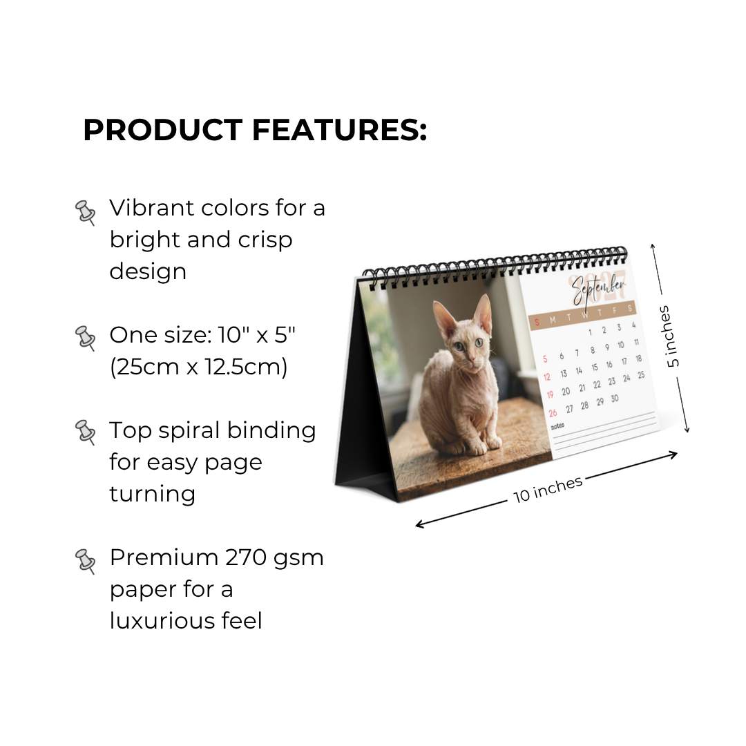 Minskin Cat Desk Calendar 2027