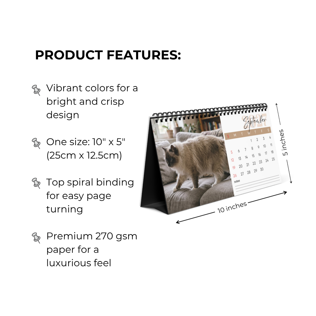 Ragdoll Cat Desk Calendar 2027