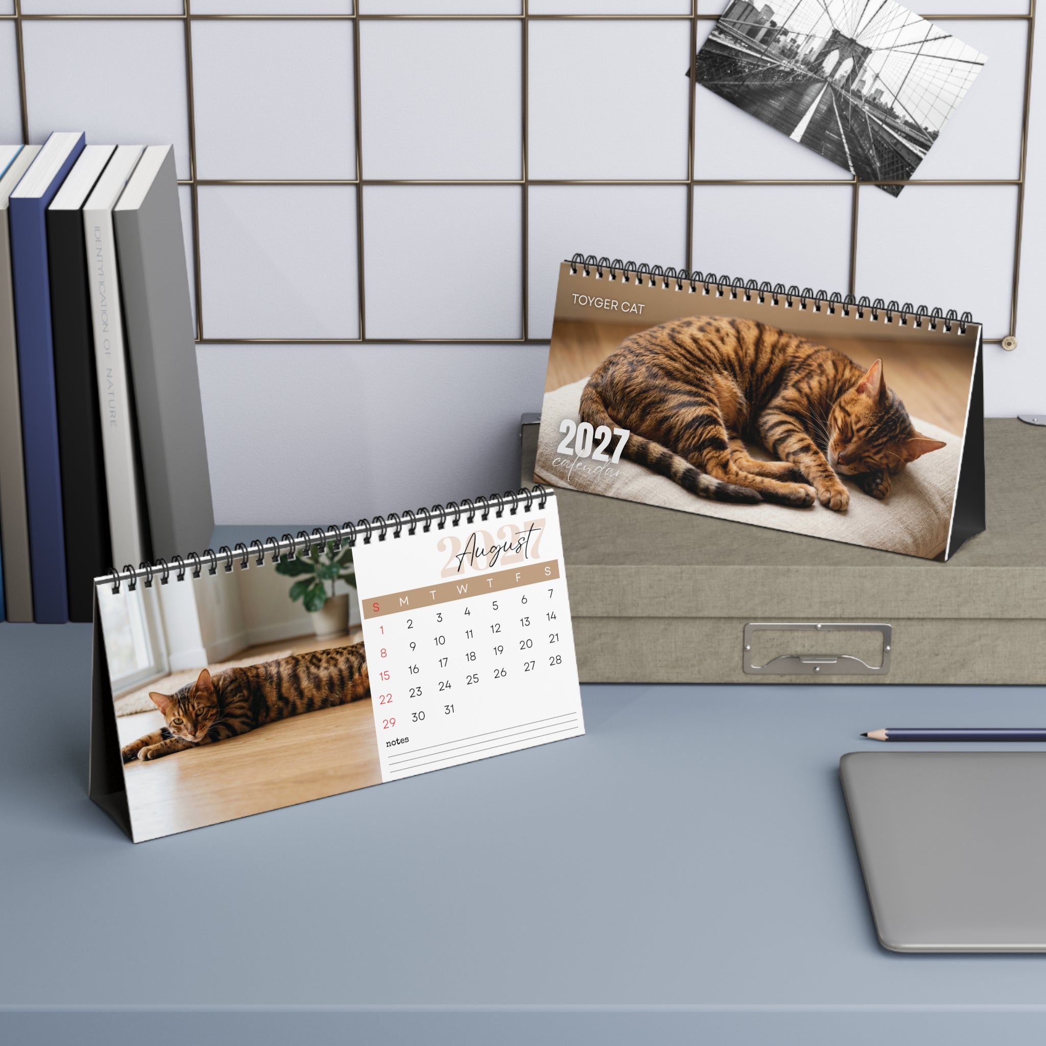 Toyger Cat Desk Calendar 2027