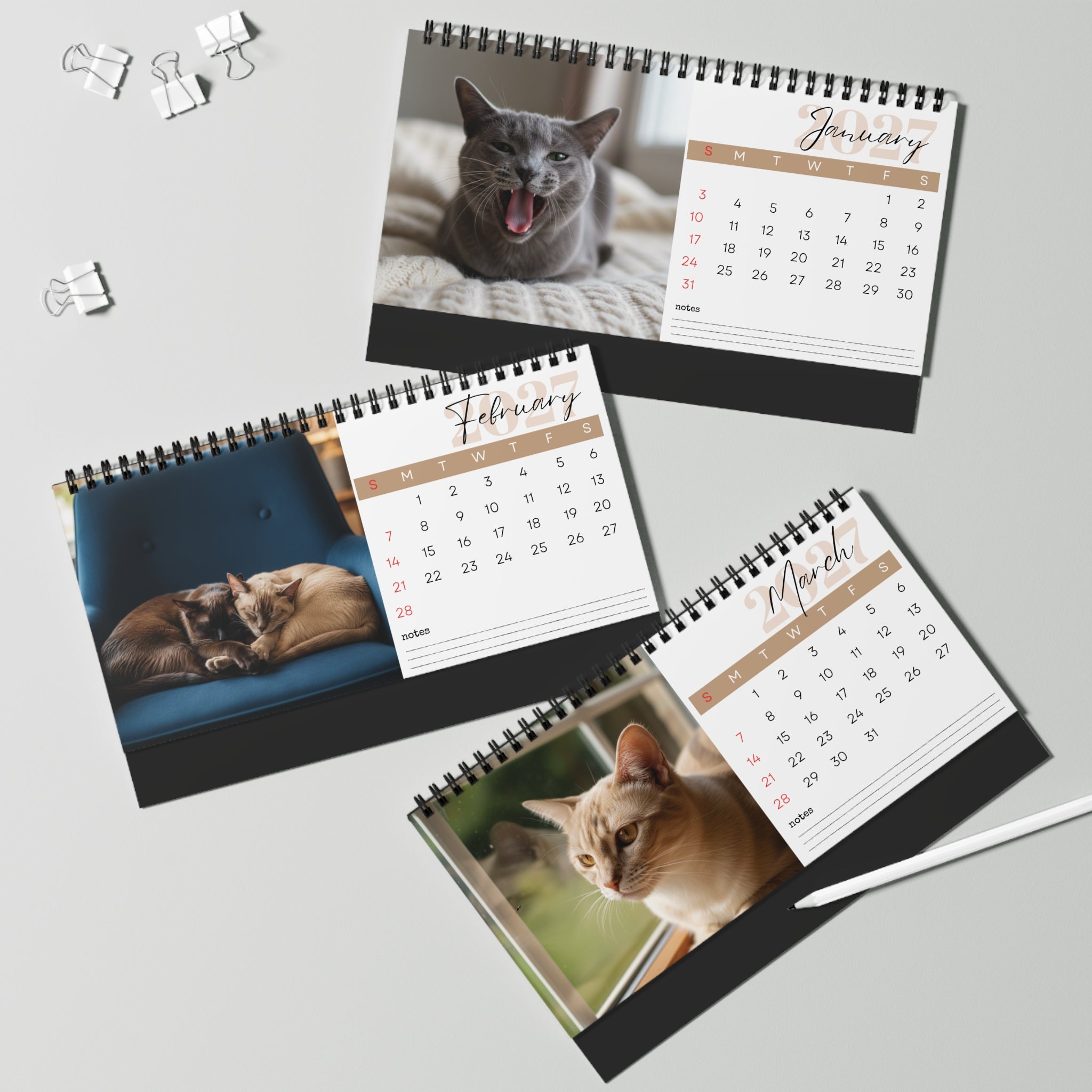 Burmese Cat Desk Calendar 2027