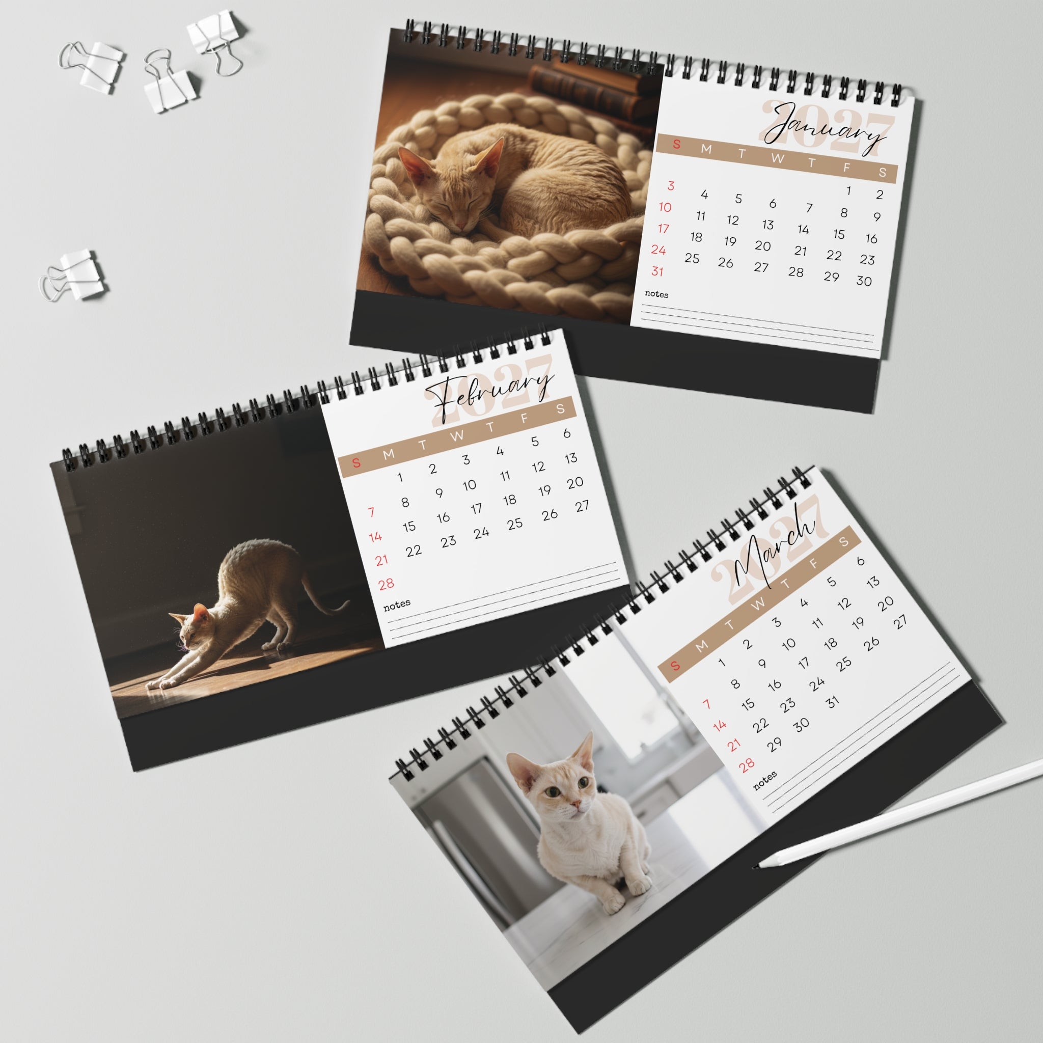 Cornish Rex Desk Calendar 2027