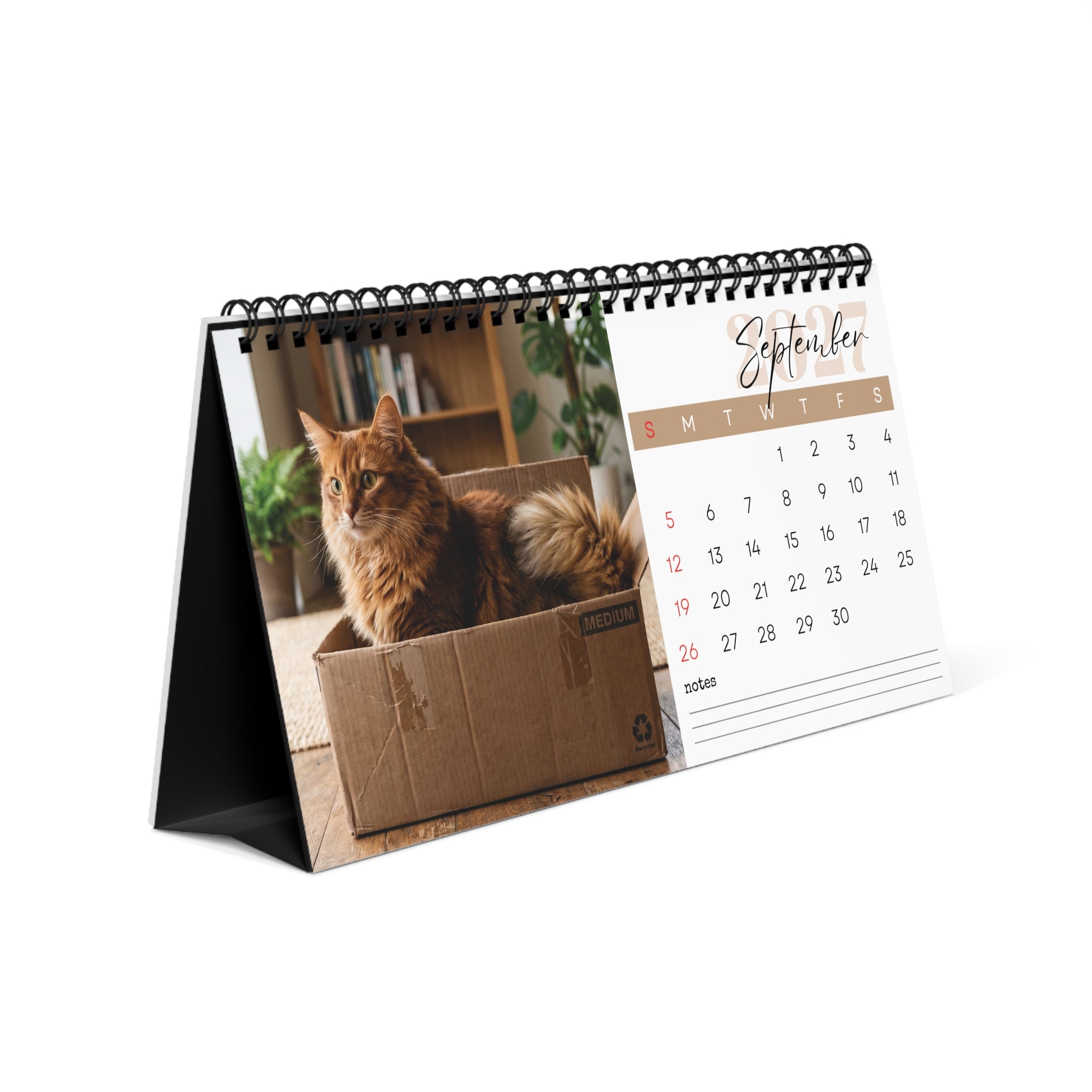 Somali Cat Desk Calendar 2027