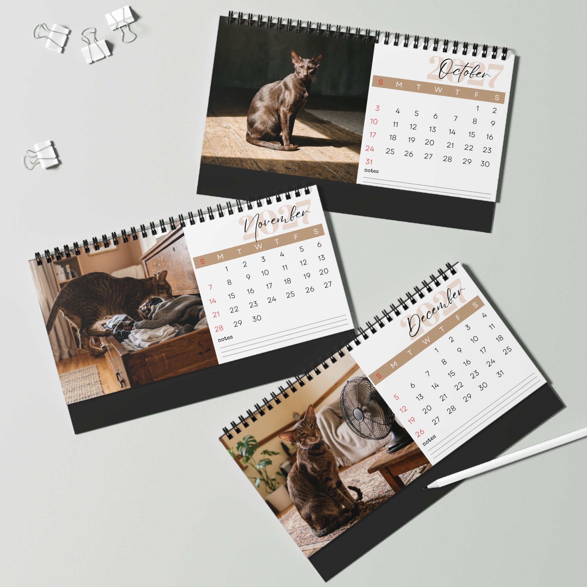 Oriental Shorthair Desk Calendar 2027