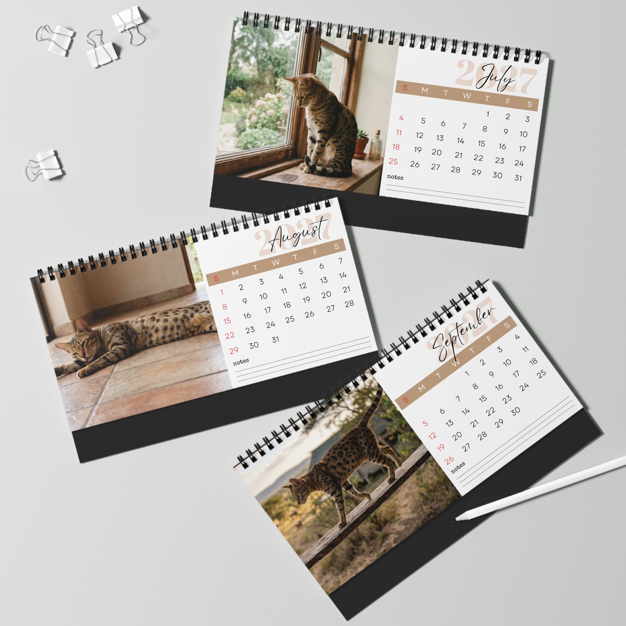 Serengeti Cat Desk Calendar 2027