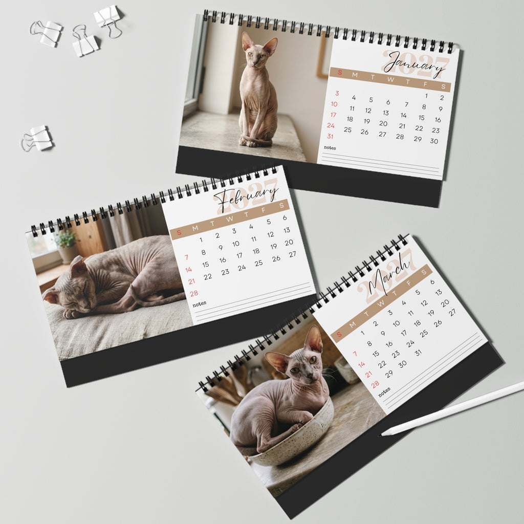 Peterbald Cat Desk Calendar 2027