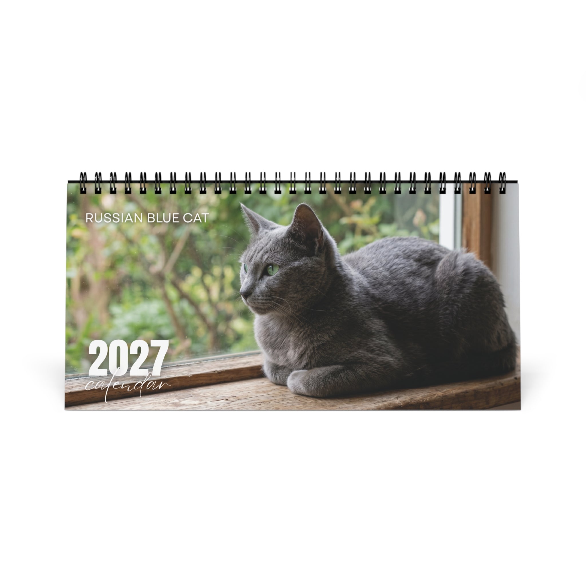 Russian Blue Cat Desk Calendar 2027