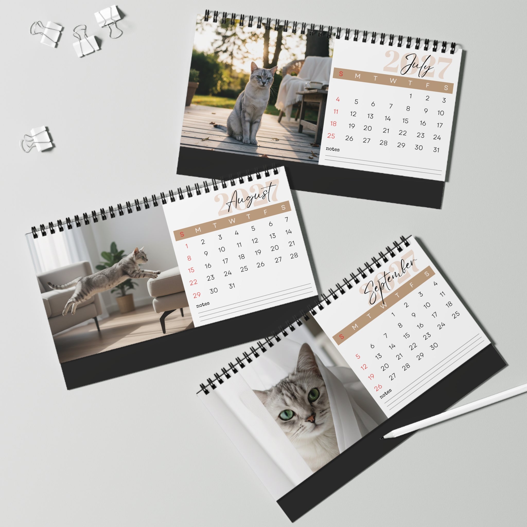 Burmilla Cat Desk Calendar 2027
