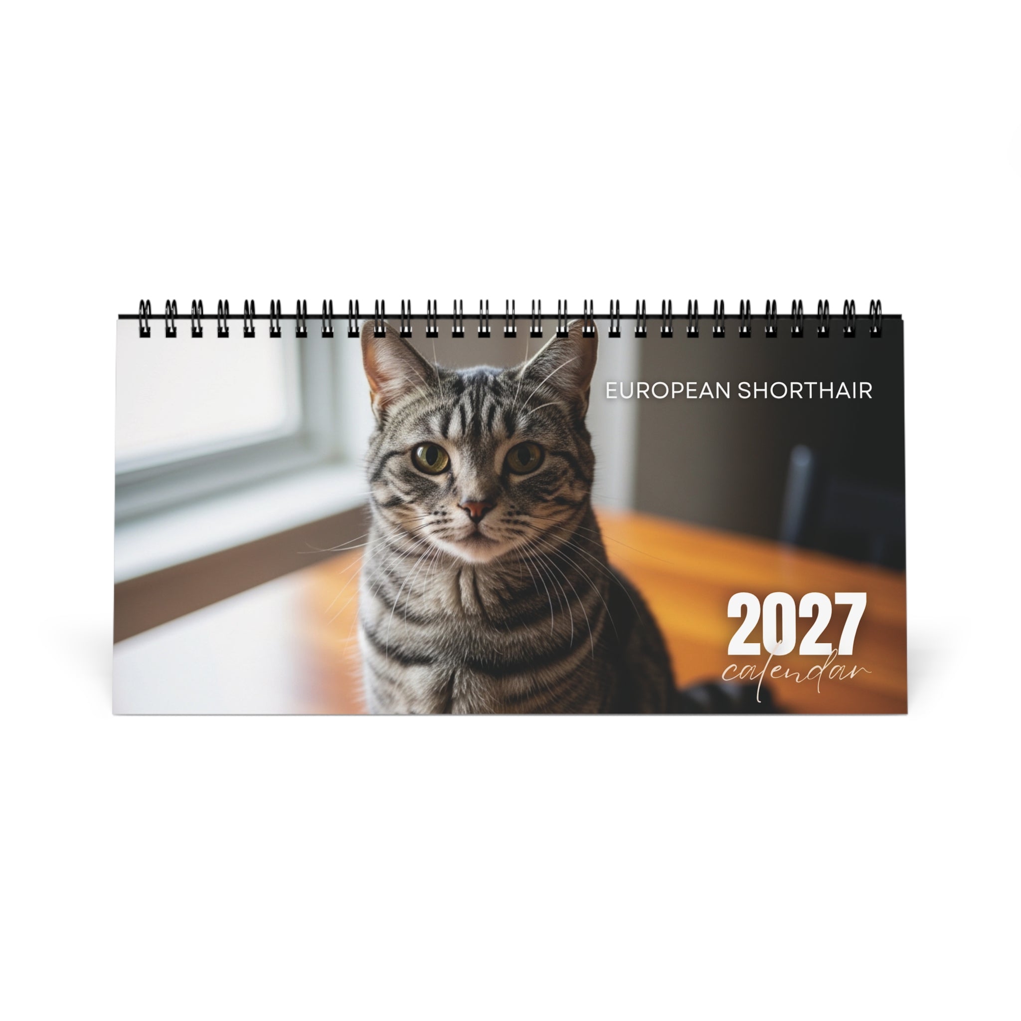 European Shorthair Desk Calendar 2027