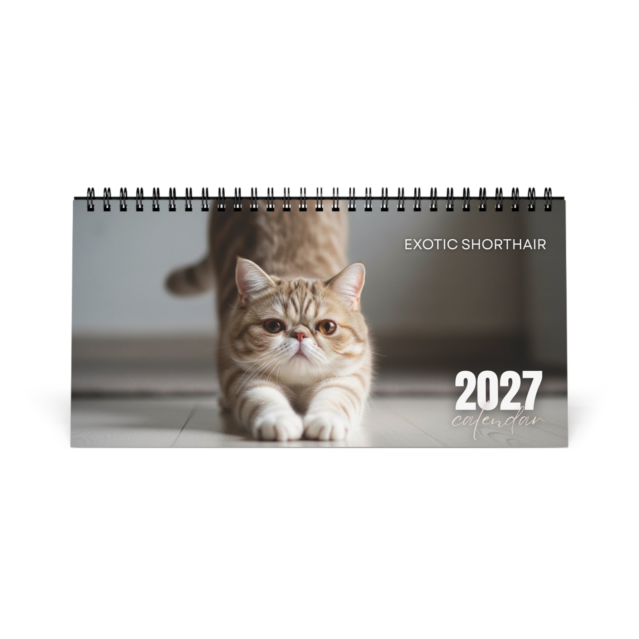 Exotic Shorthair Desk Calendar 2027