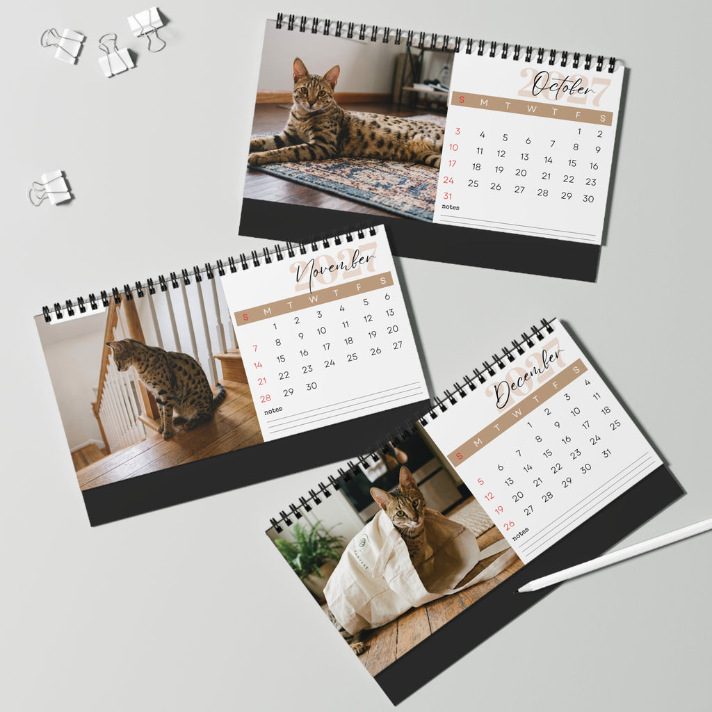 Savannah Cat Desk Calendar 2027