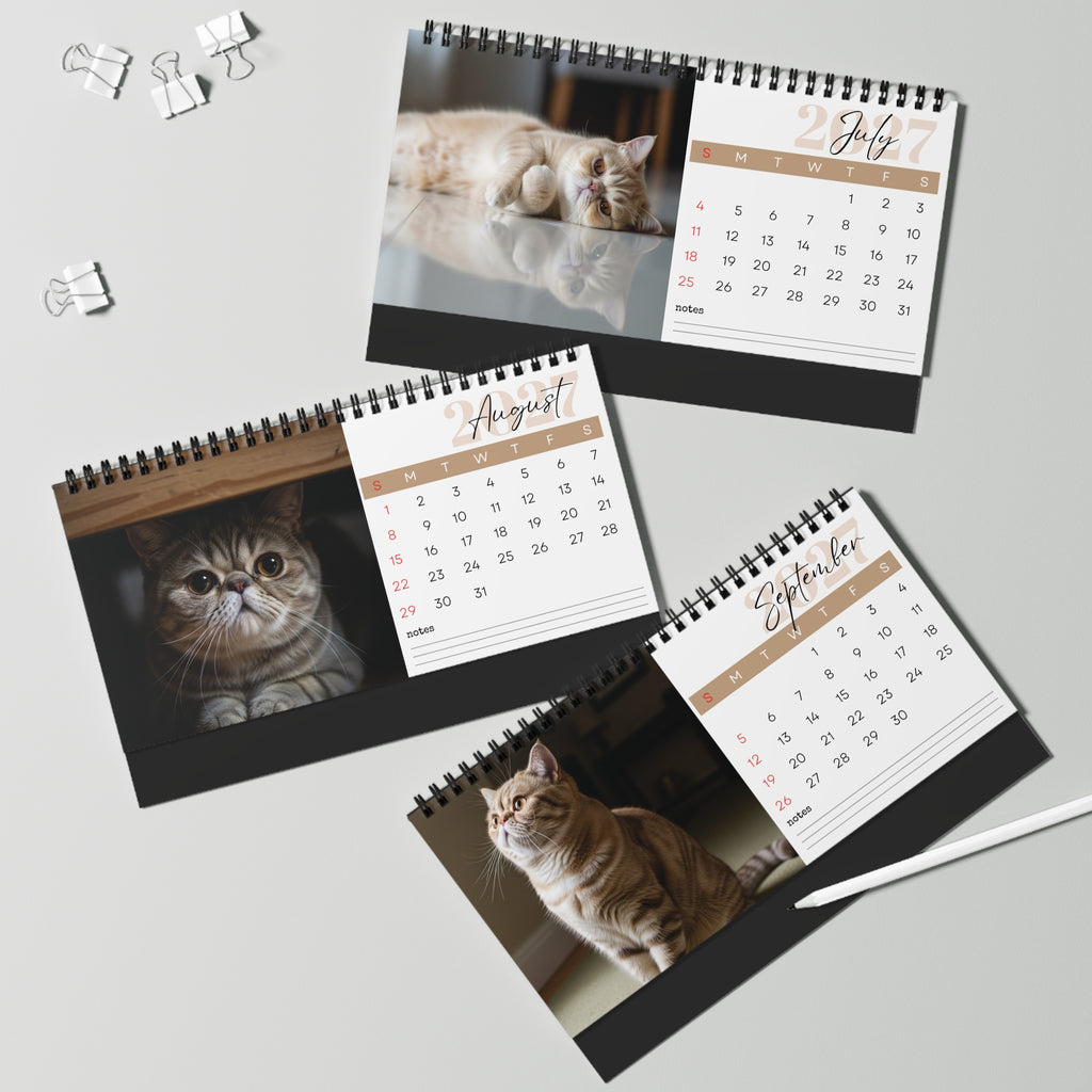 Exotic Shorthair Desk Calendar 2027