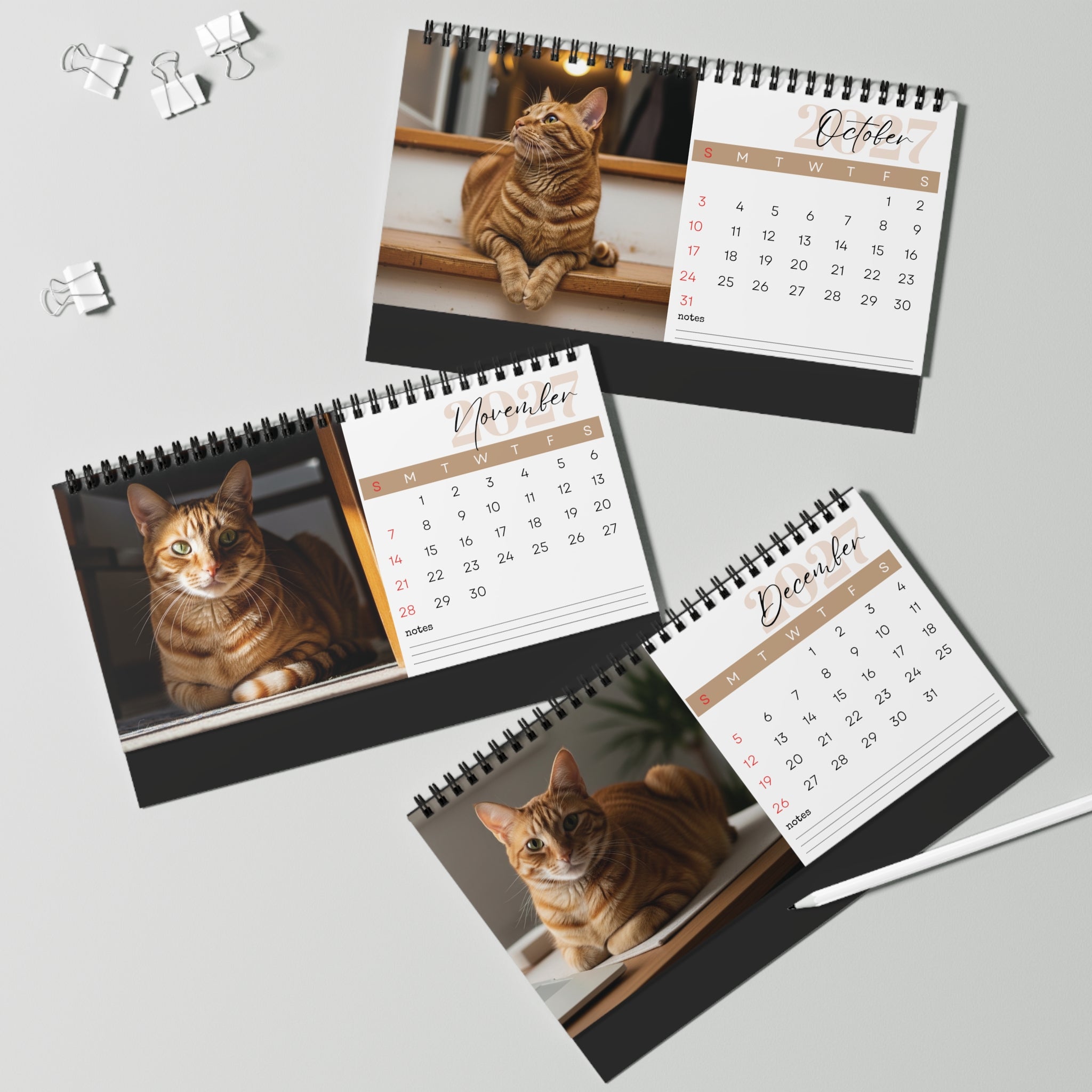 Ginger Cat Desk Calendar 2027