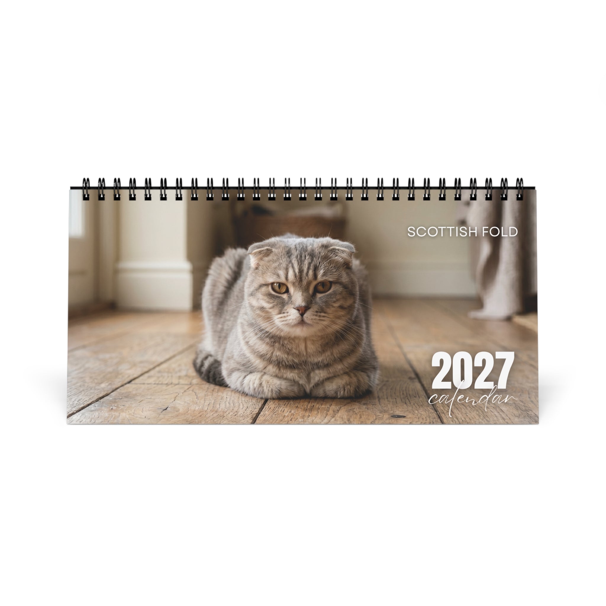 Scottish Fold Cat Desk Calendar 2027