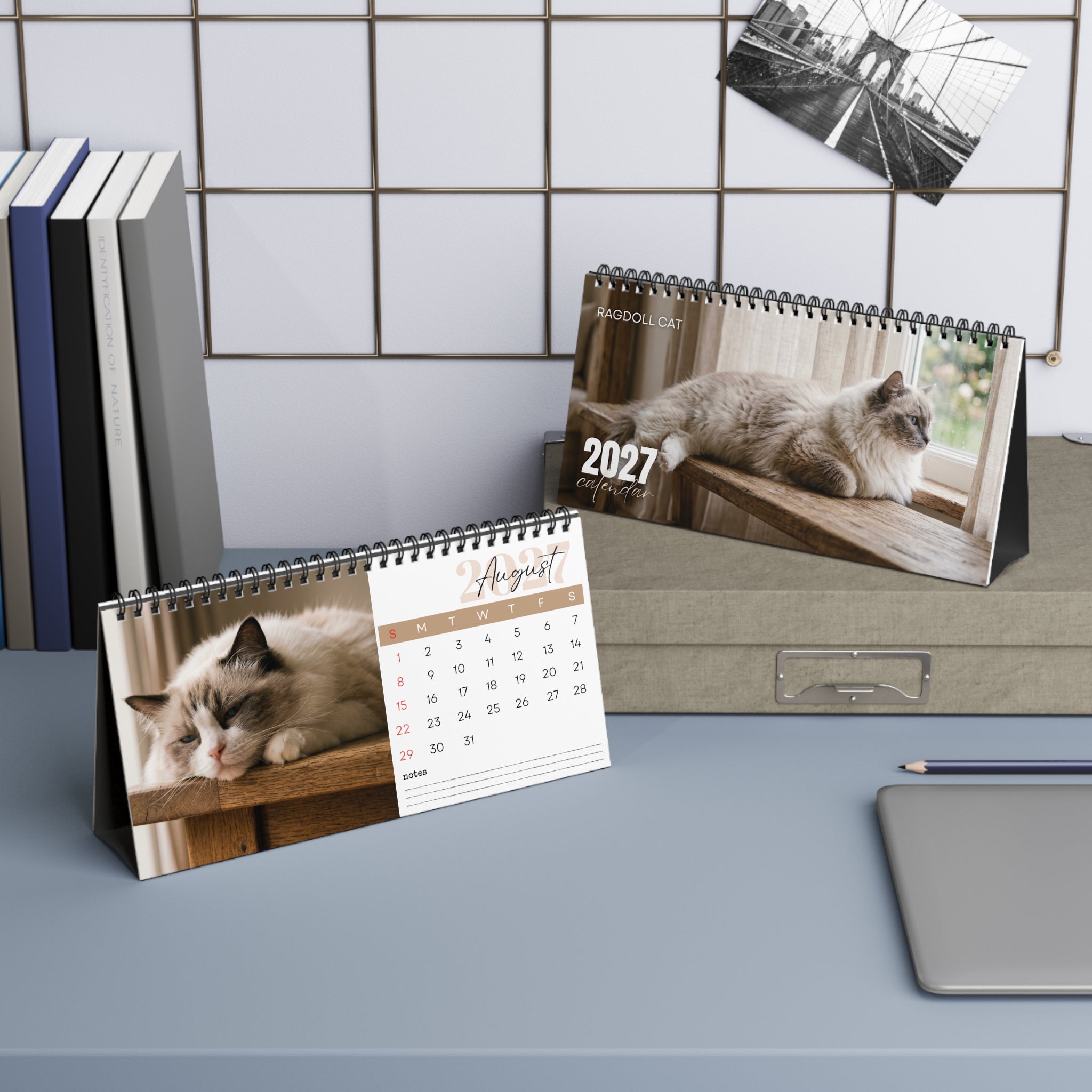 Ragdoll Cat Desk Calendar 2027
