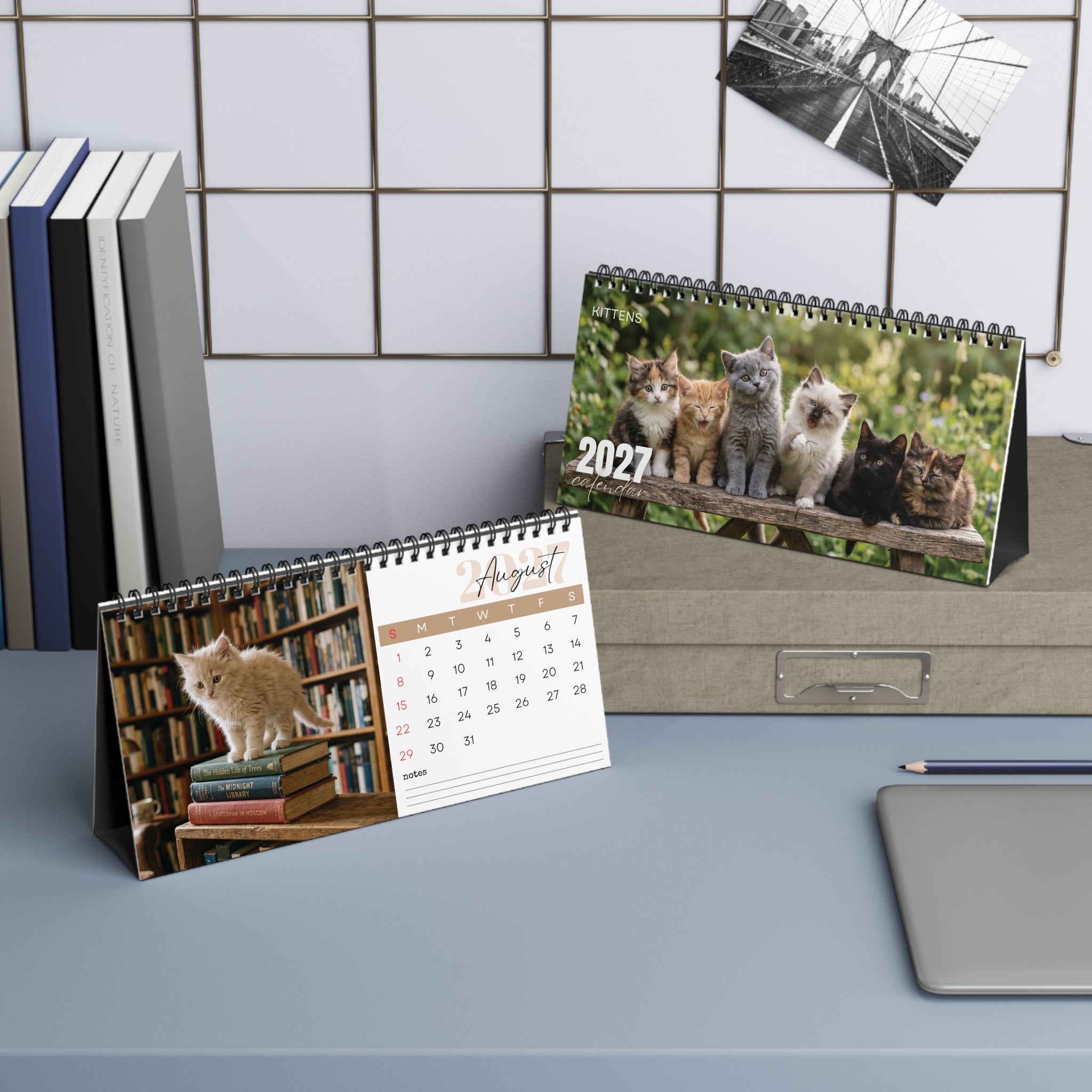 Kitten Desk Calendar 2027