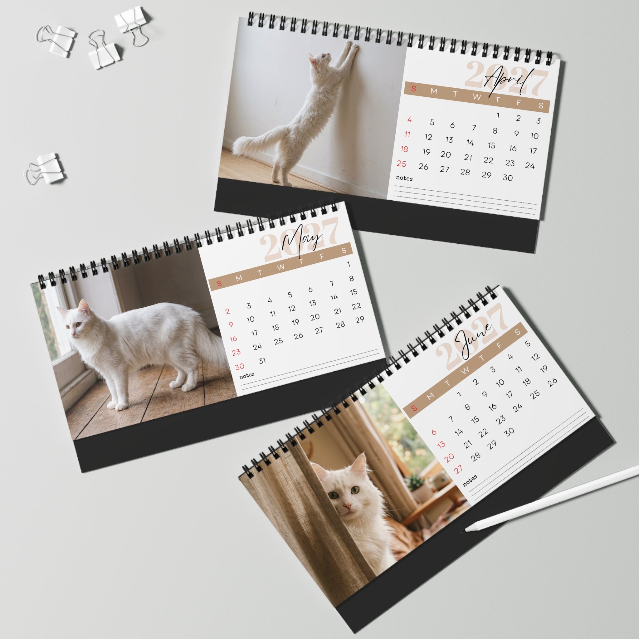Turkish Angora Cat Desk Calendar 2027