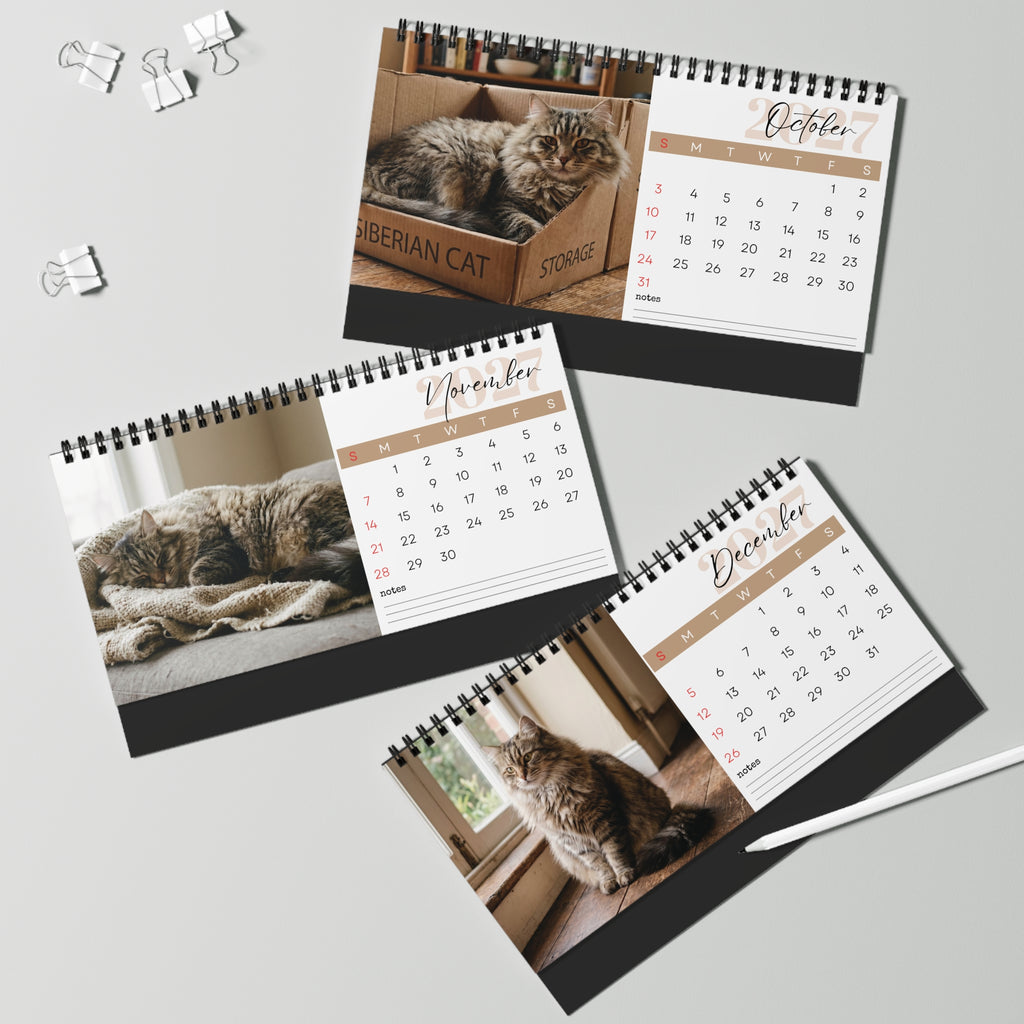 Siberian Cat Desk Calendar 2027