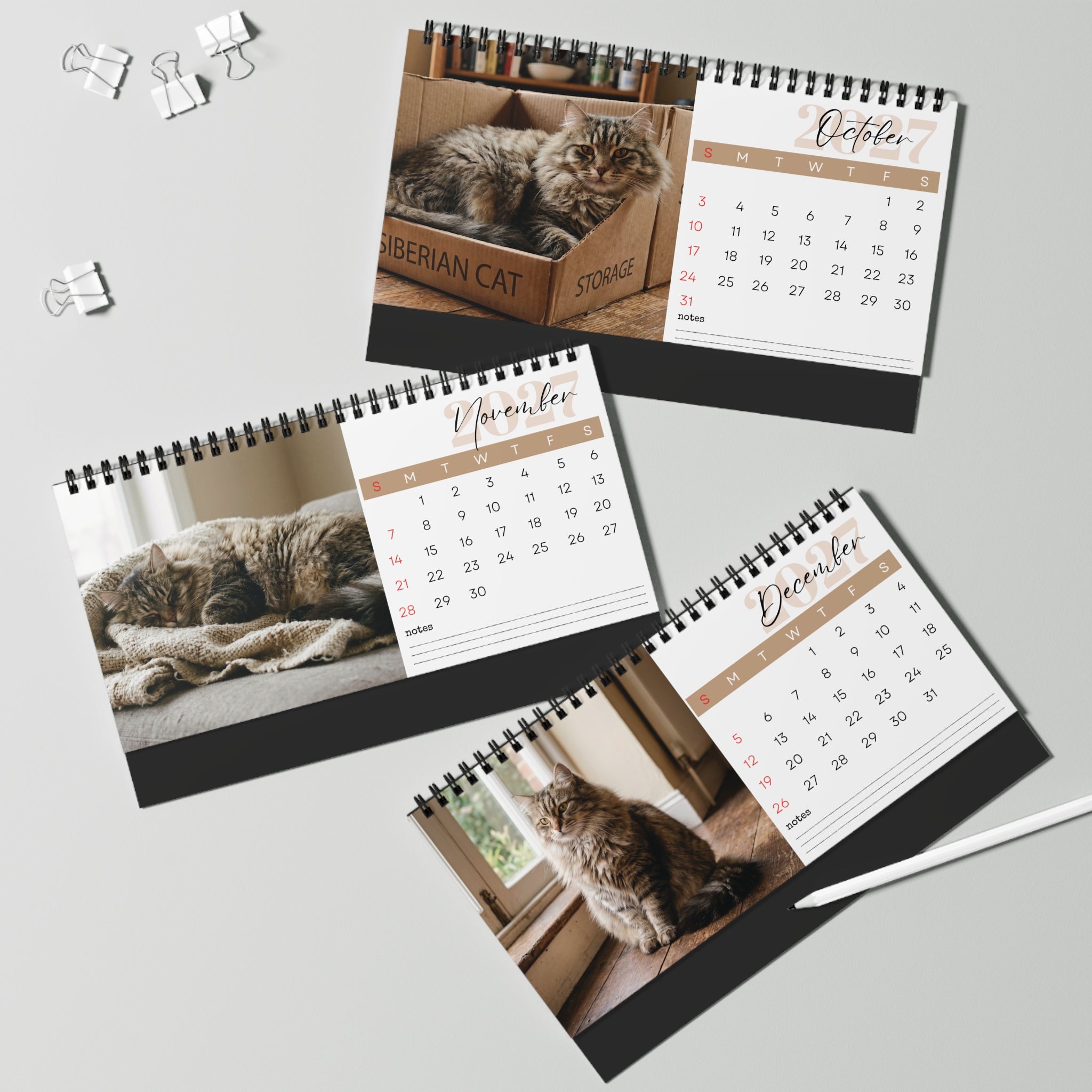 Siberian Cat Desk Calendar 2027