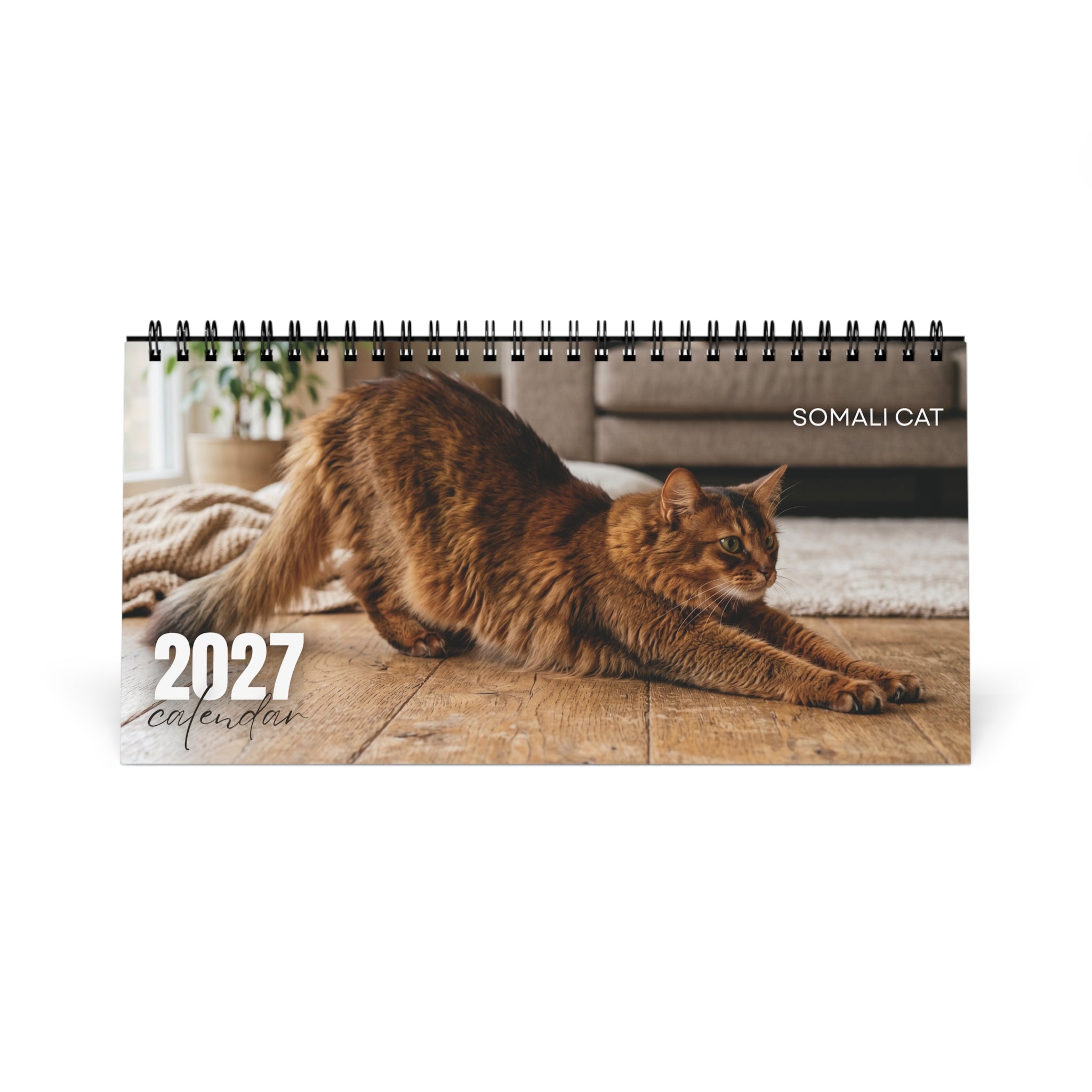 Somali Cat Desk Calendar 2027