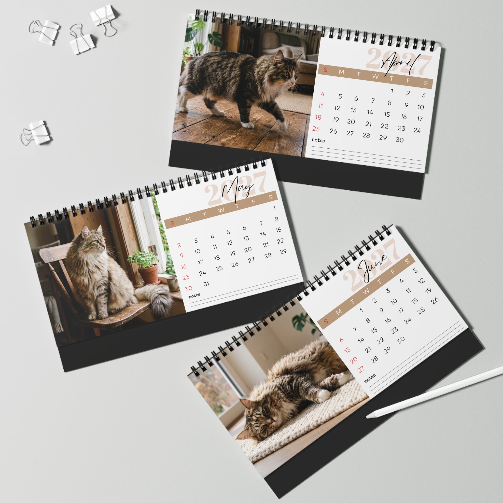 Norwegian Forest Cat Desk Calendar 2027