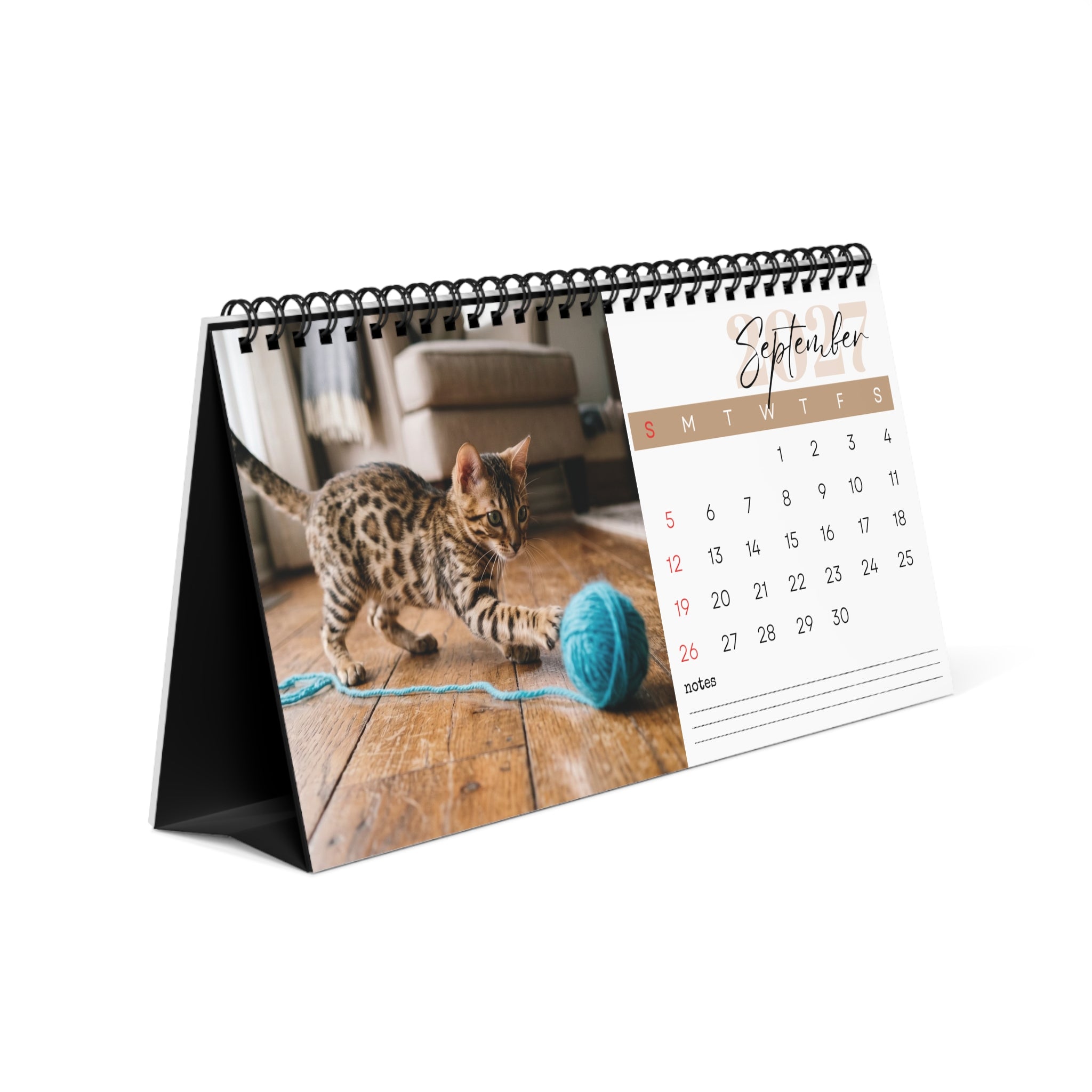 Kitten Desk Calendar 2027