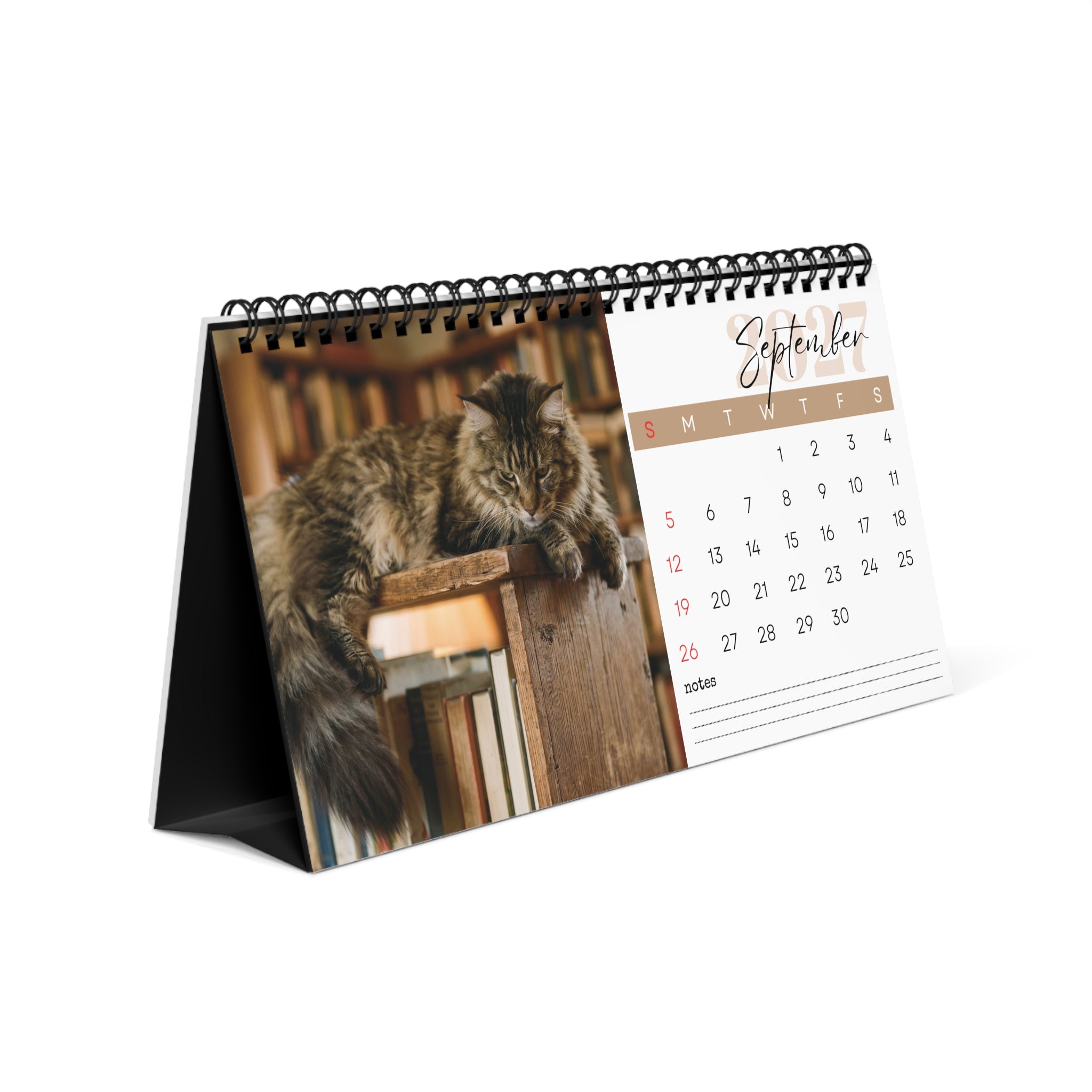 Maine Coon Cat Desk Calendar 2027