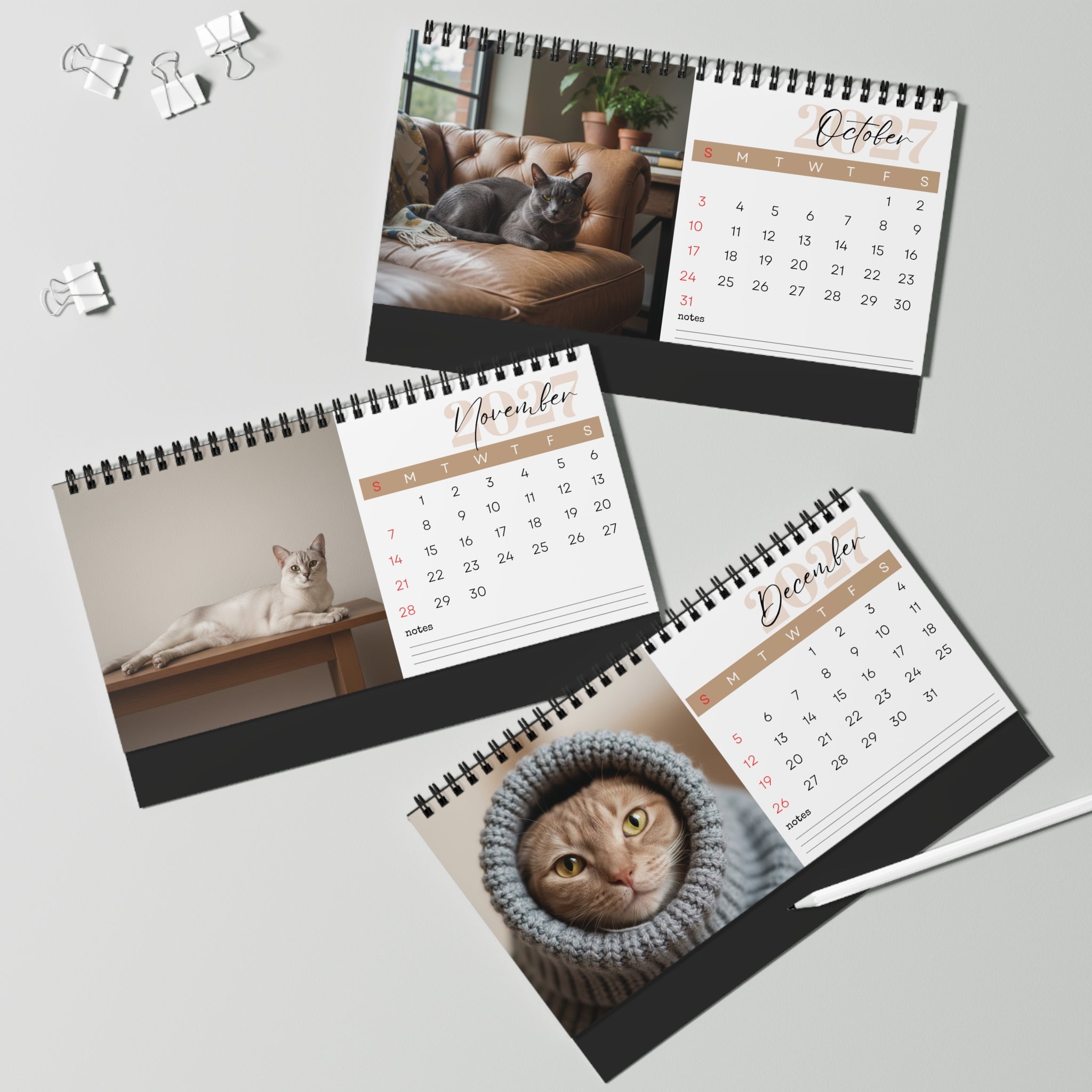 Burmese Cat Desk Calendar 2027