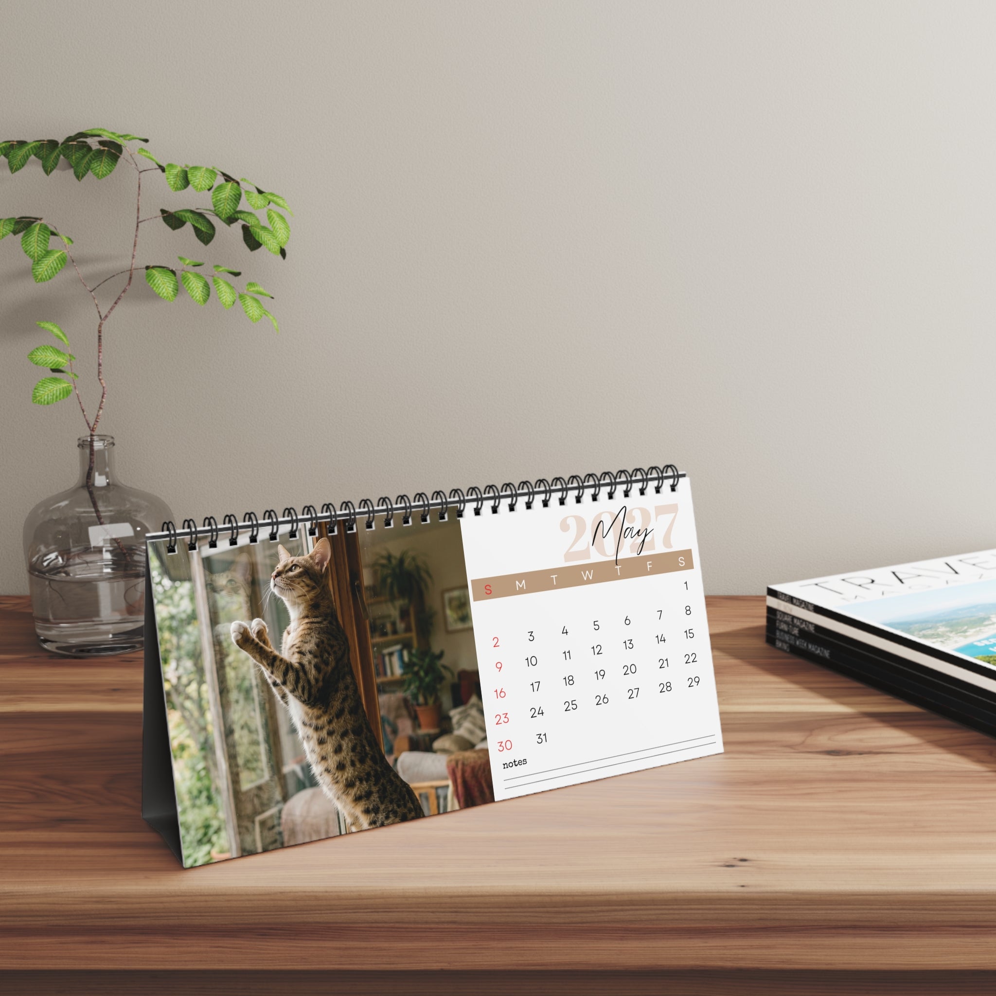 Savannah Cat Desk Calendar 2027