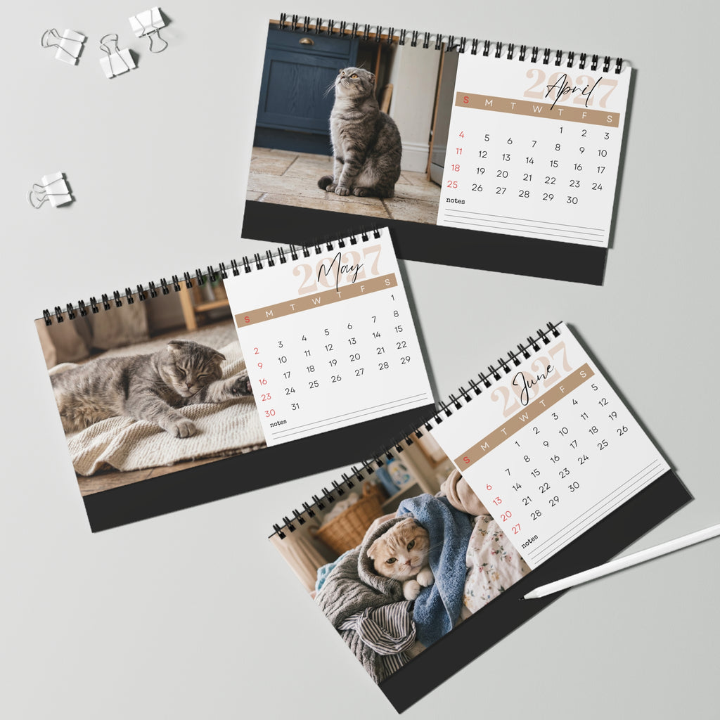 Scottish Fold Cat Desk Calendar 2027