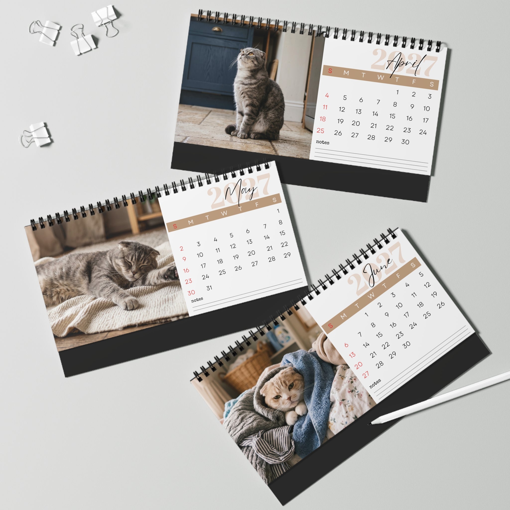 Scottish Fold Cat Desk Calendar 2027