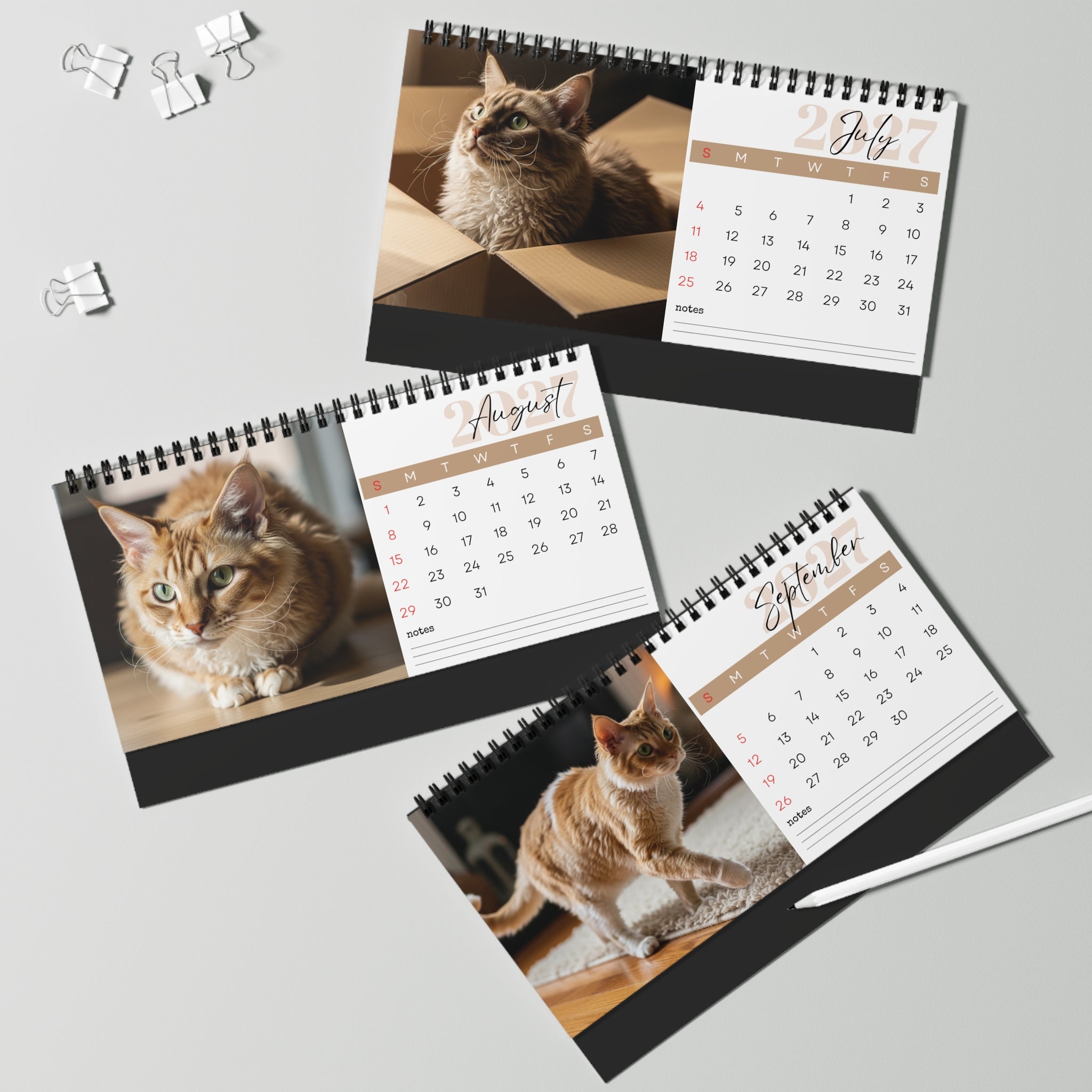 LaPerm Desk Calendar 2027
