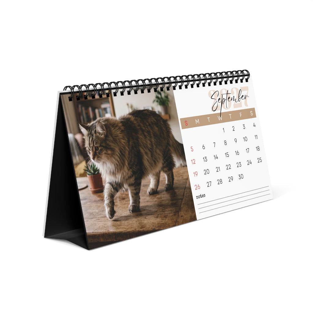 Siberian Cat Desk Calendar 2027