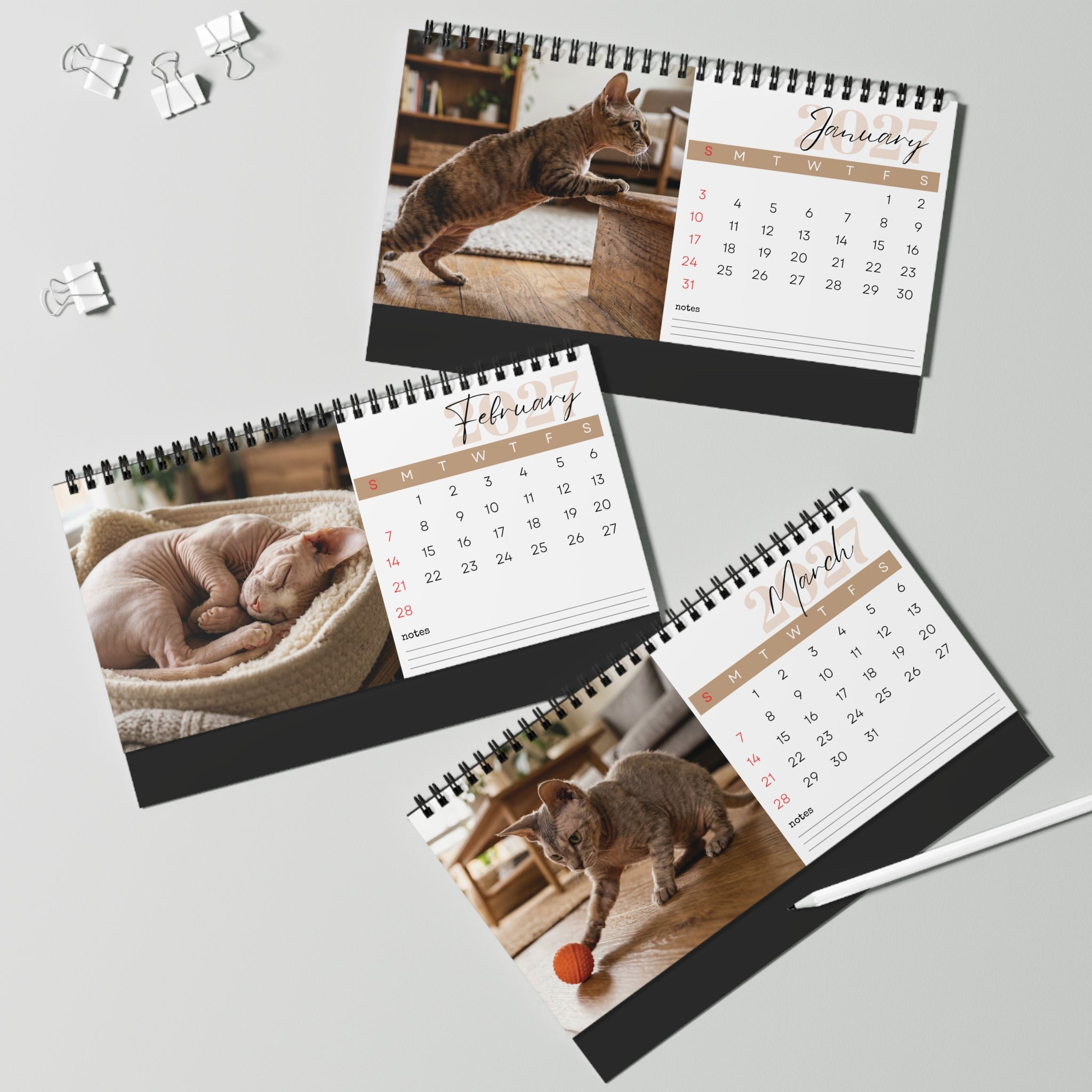 Minskin Cat Desk Calendar 2027