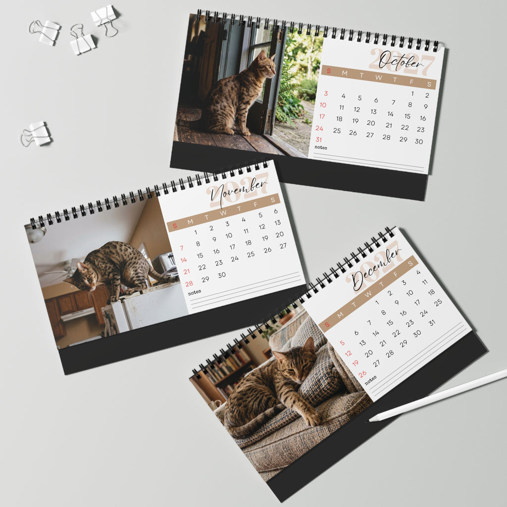 Ocicat Desk Calendar 2027