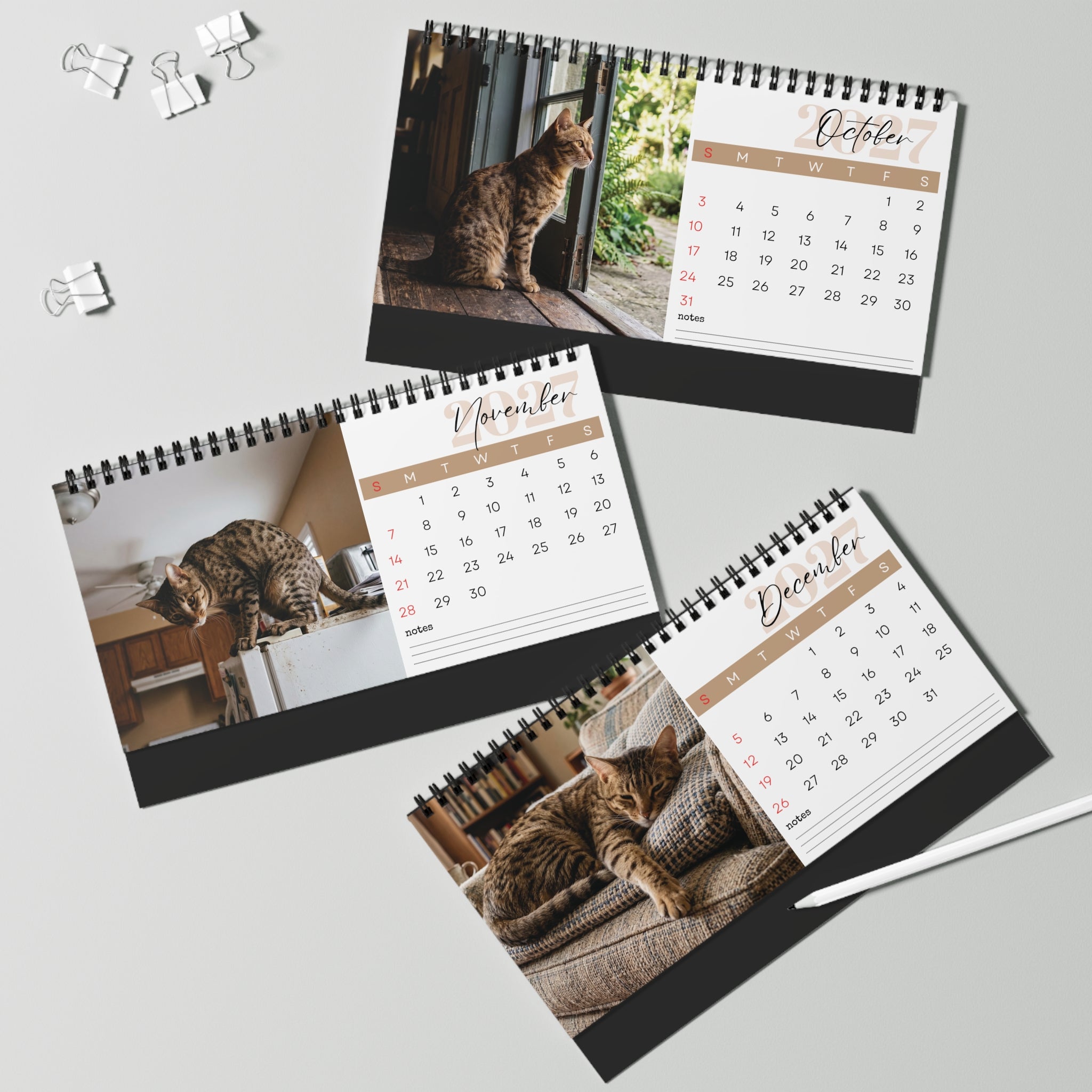 Ocicat Desk Calendar 2027
