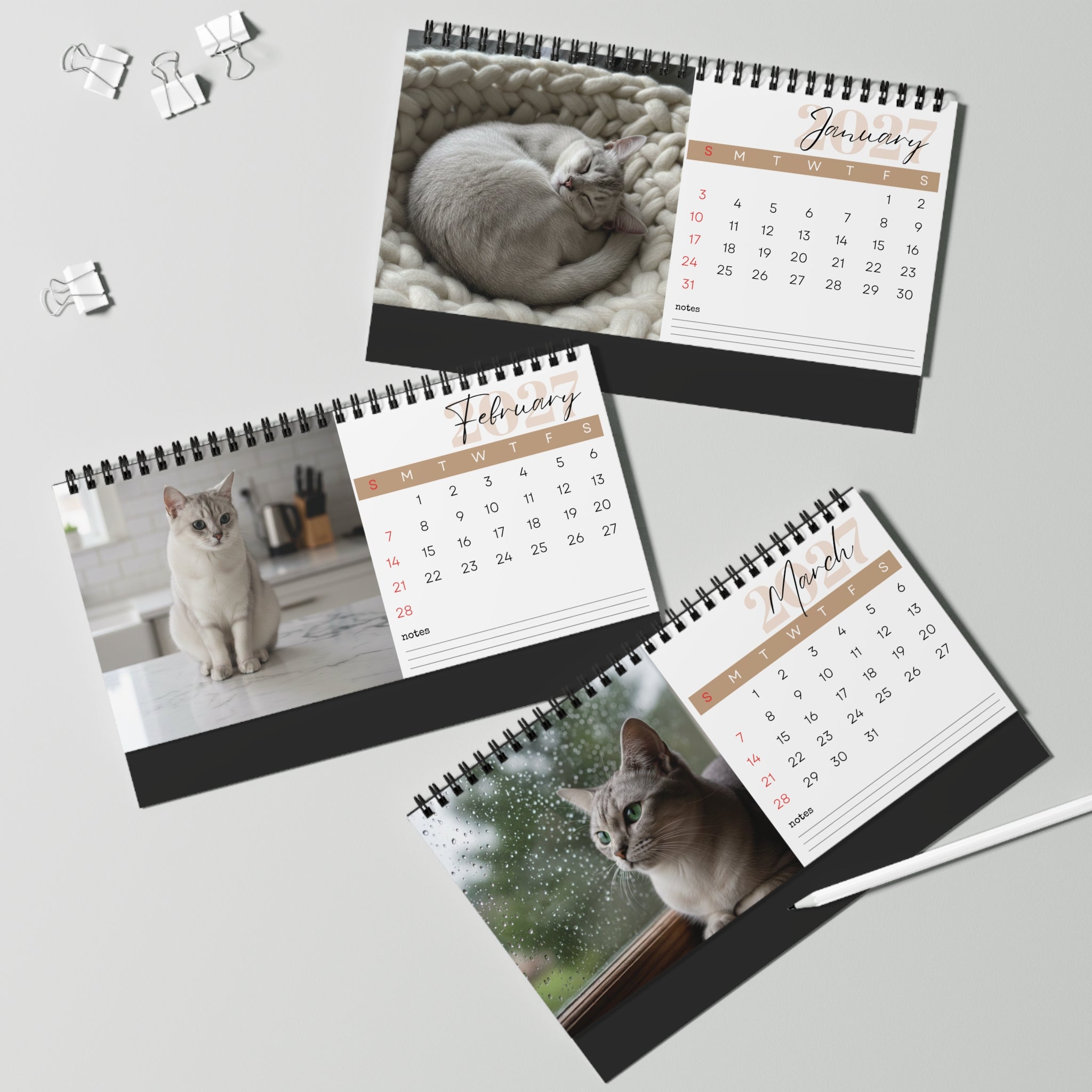 Burmilla Cat Desk Calendar 2027