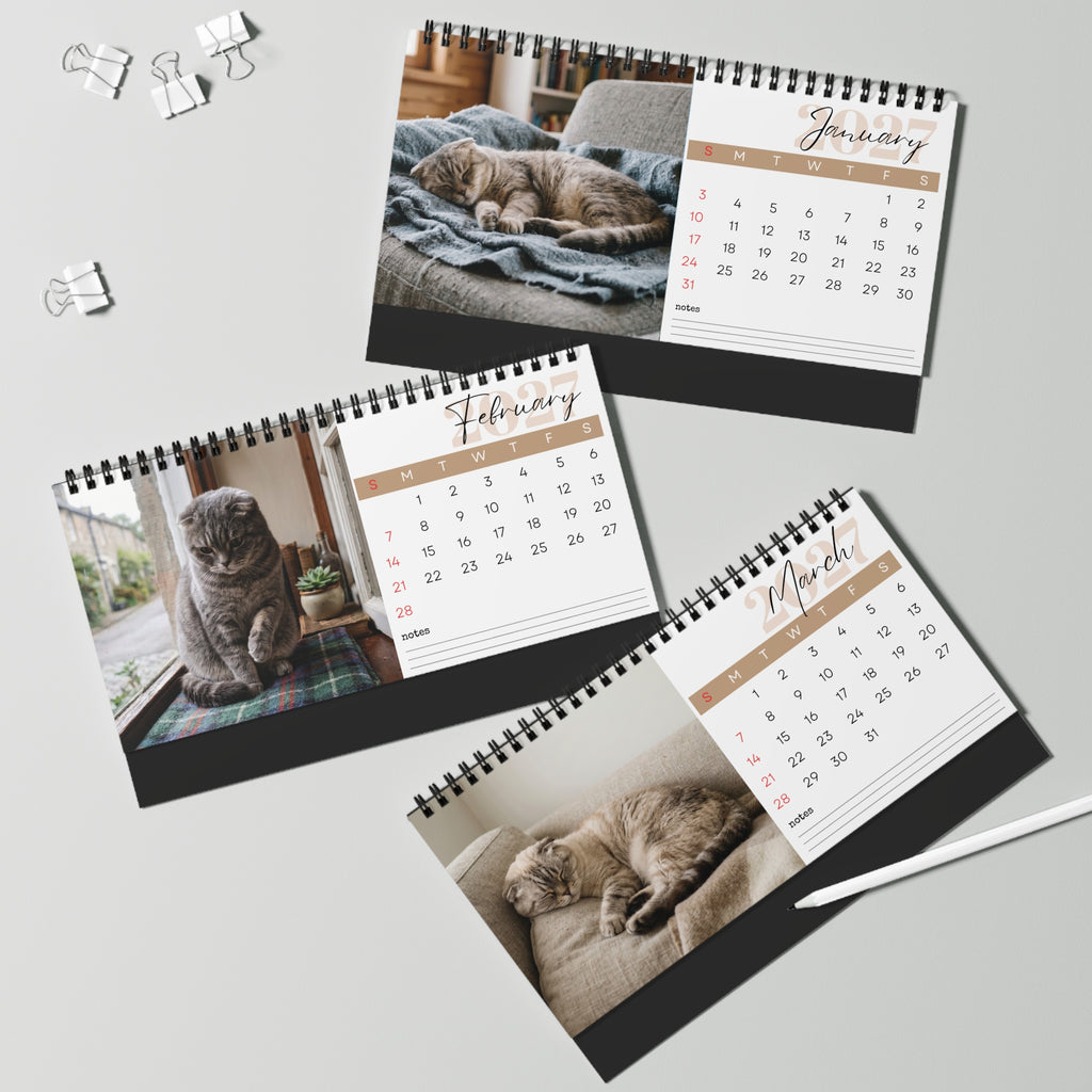 Scottish Fold Cat Desk Calendar 2027